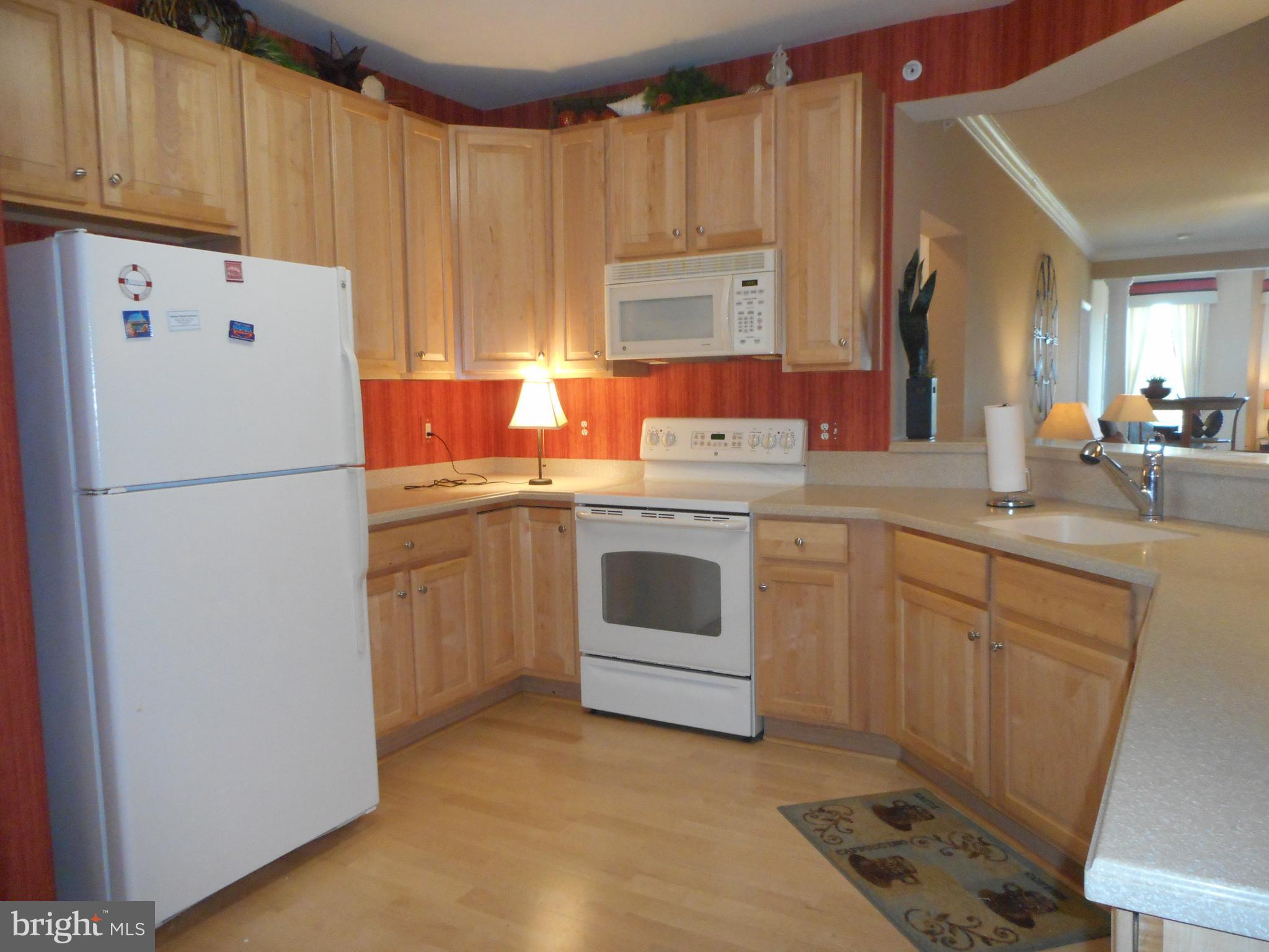 700 CATTAIL COVE 411