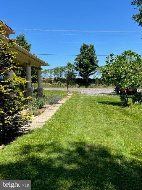 CLEAR SPRING - Residential Lease