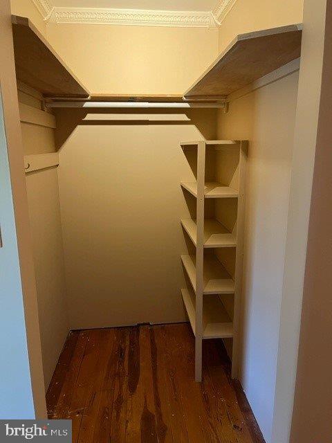 CLEAR SPRING - Residential Lease