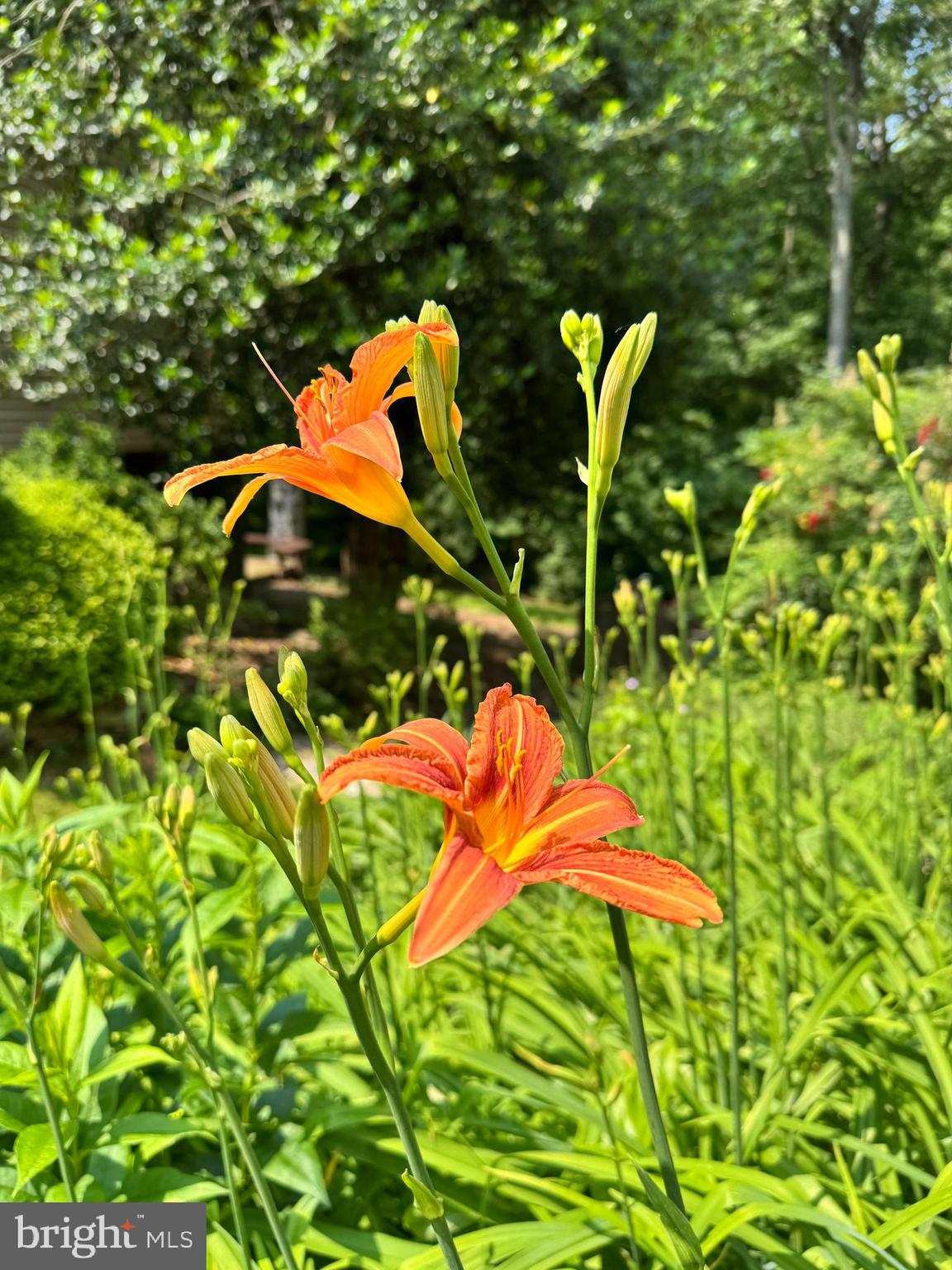 LAKEWOOD HILLS - Residential