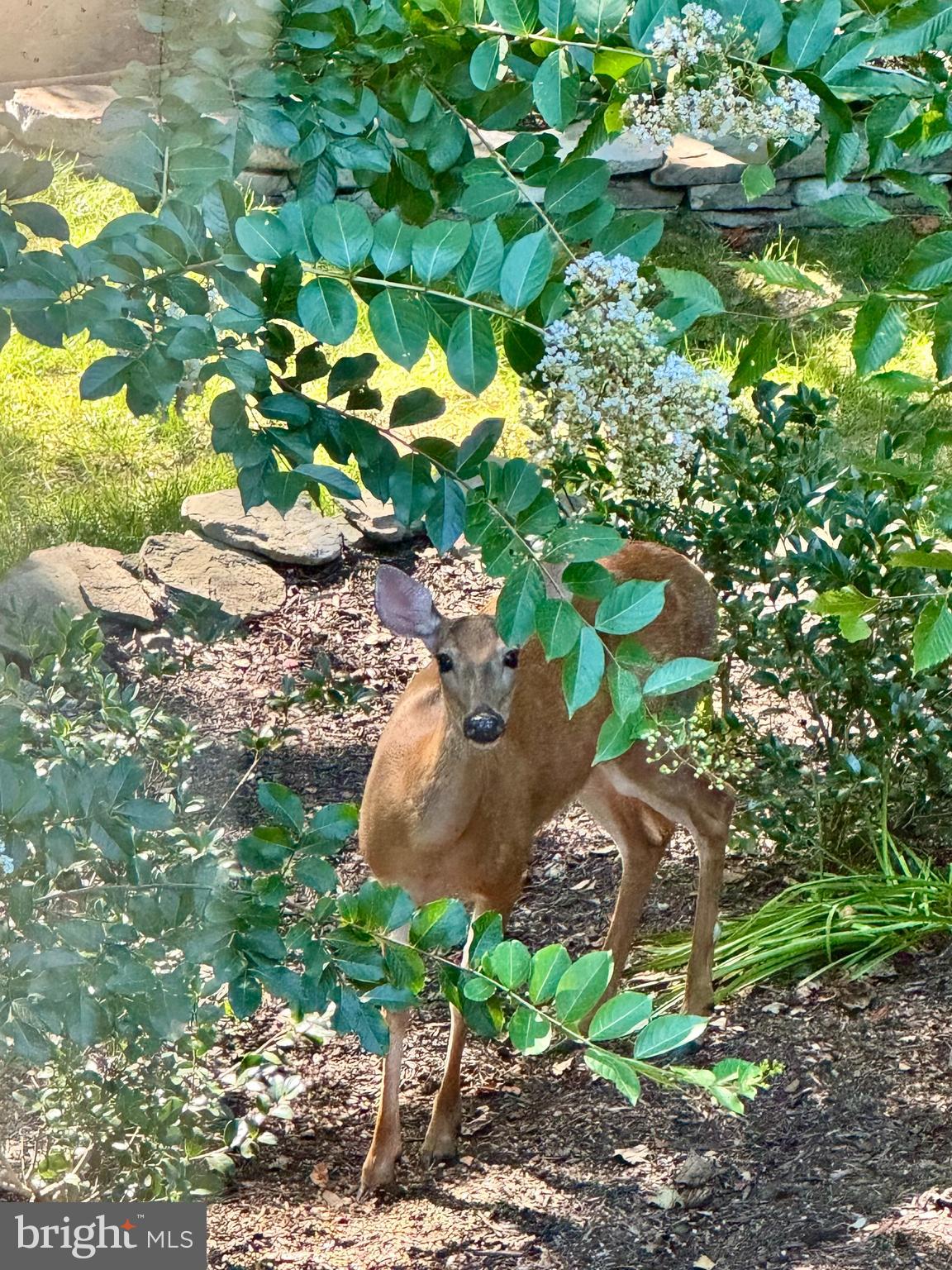 LAKEWOOD HILLS - Residential