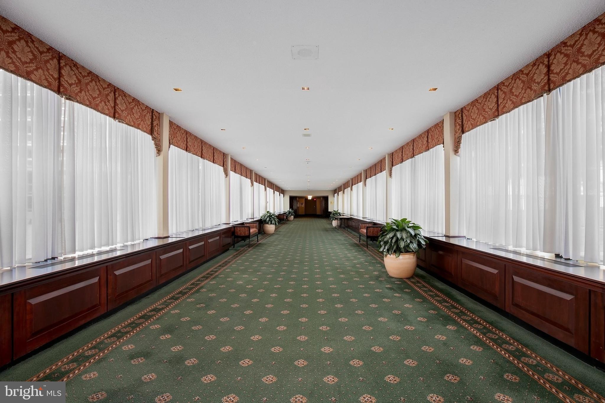 3701 S GEORGE MASON DRIVE 2317N