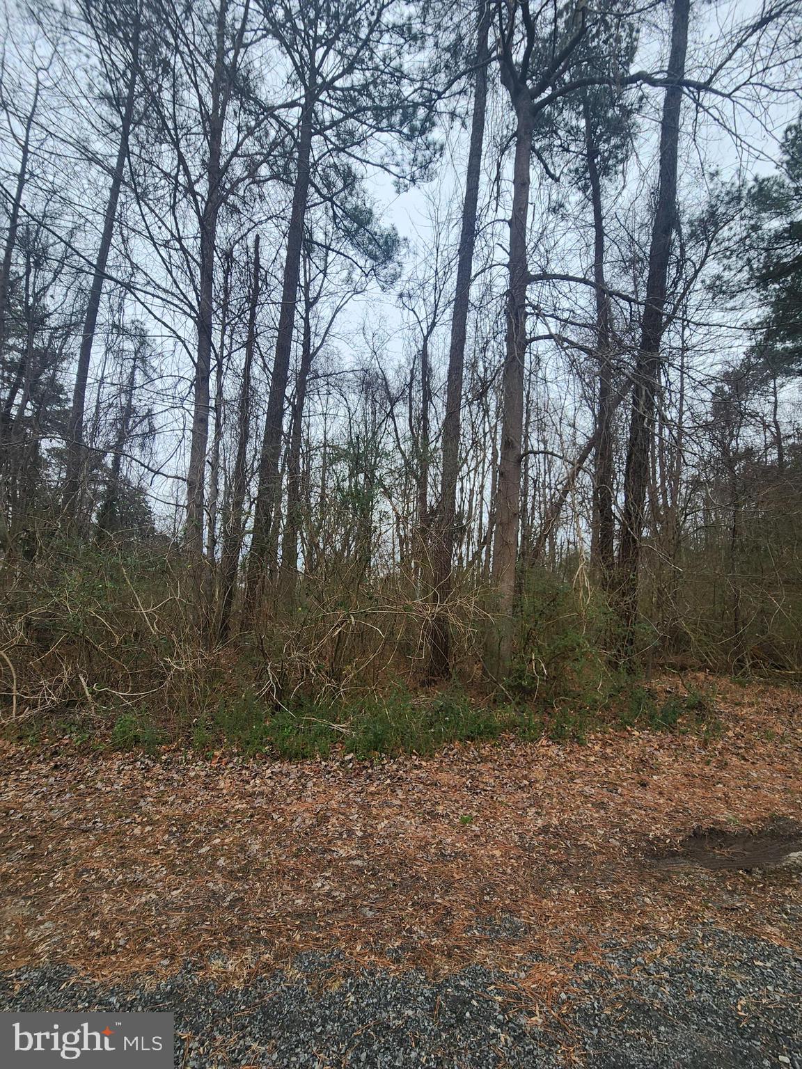 LANDSEND WEST LOT 614