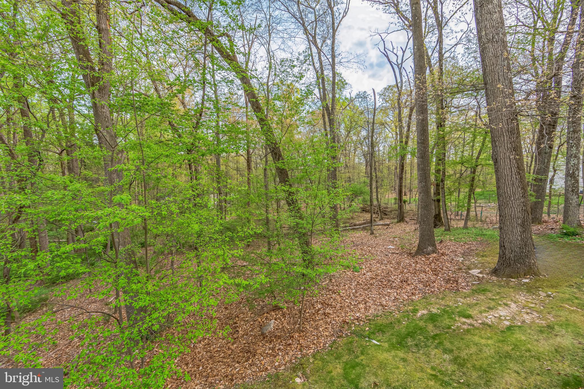 VALLEY FORGE MTN - Residential