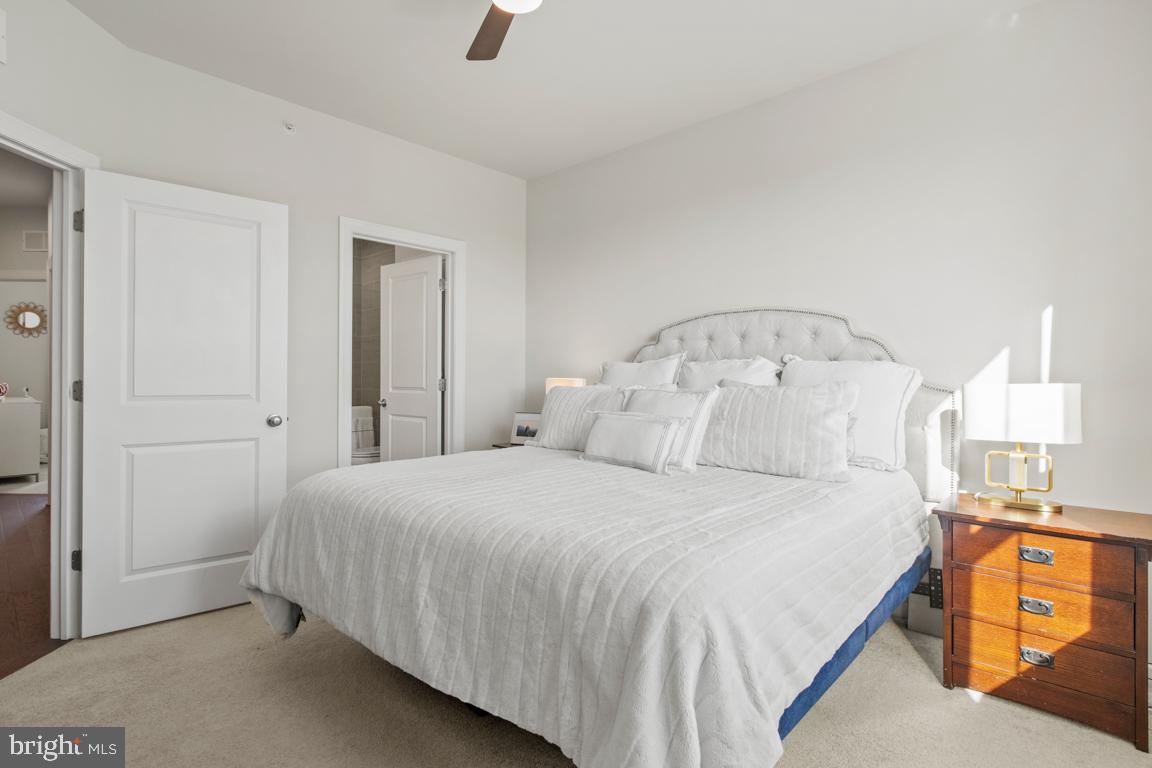 STEELPOINTE - Residential