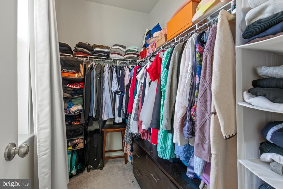 STEELPOINTE - Residential