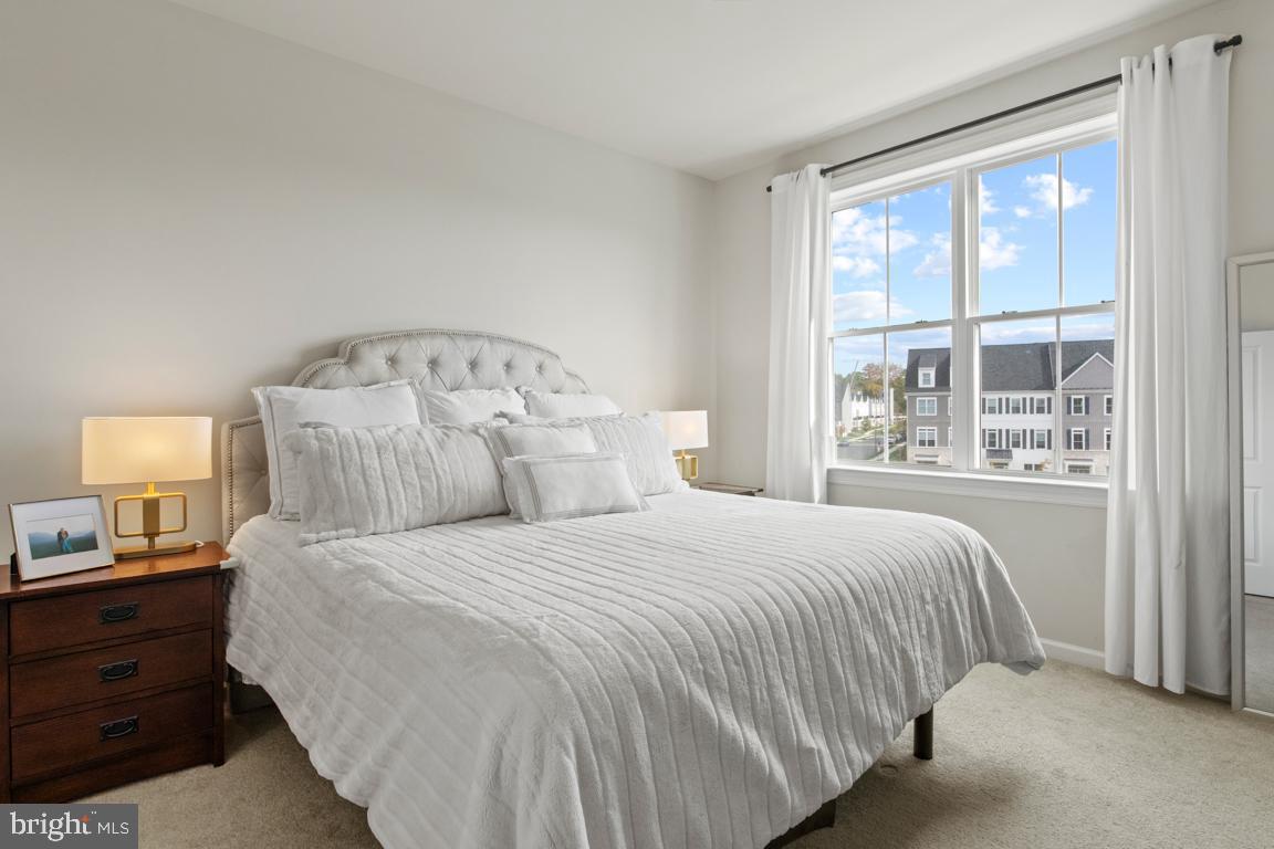 STEELPOINTE - Residential