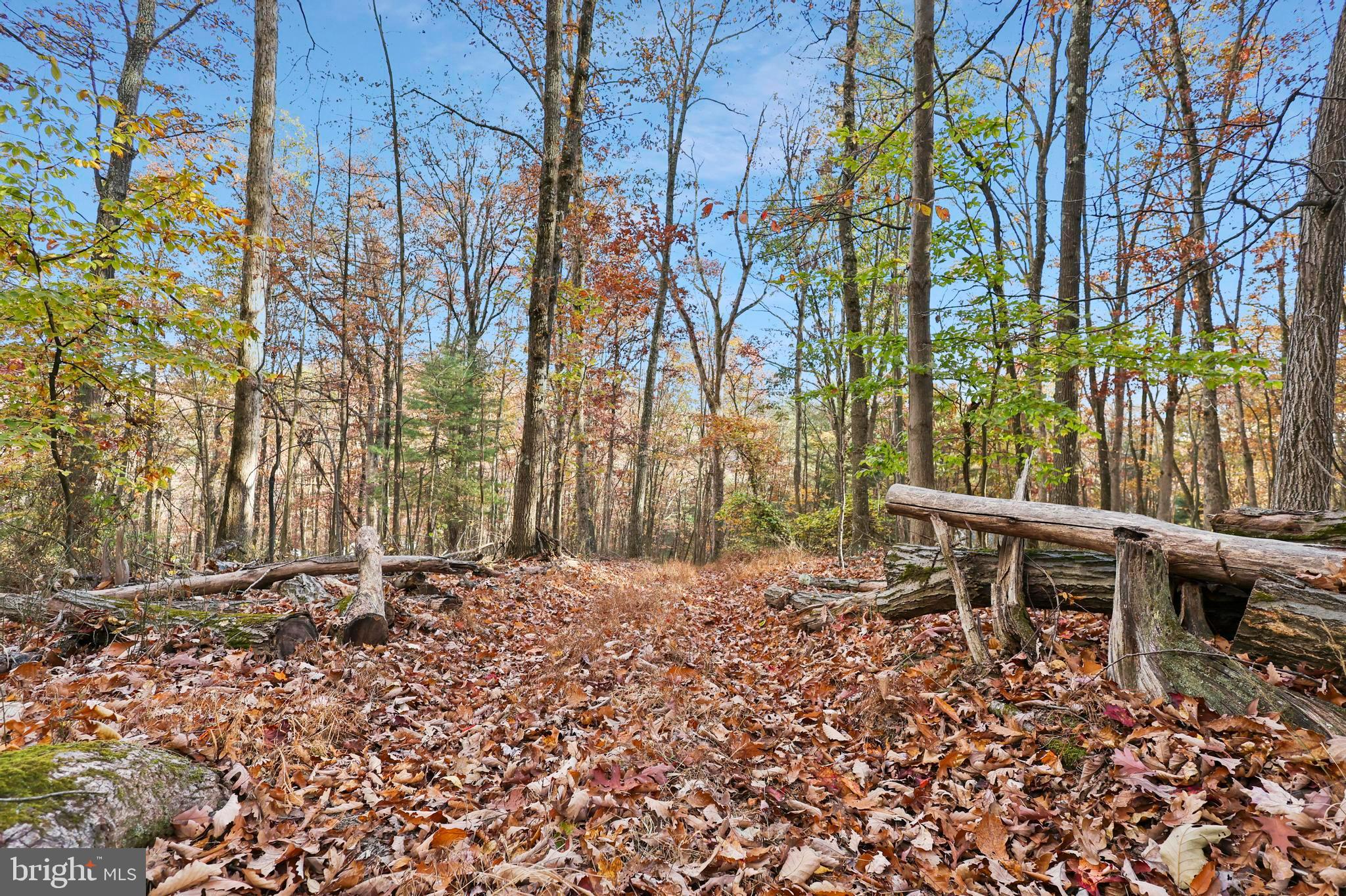 BOWMANS - Residential