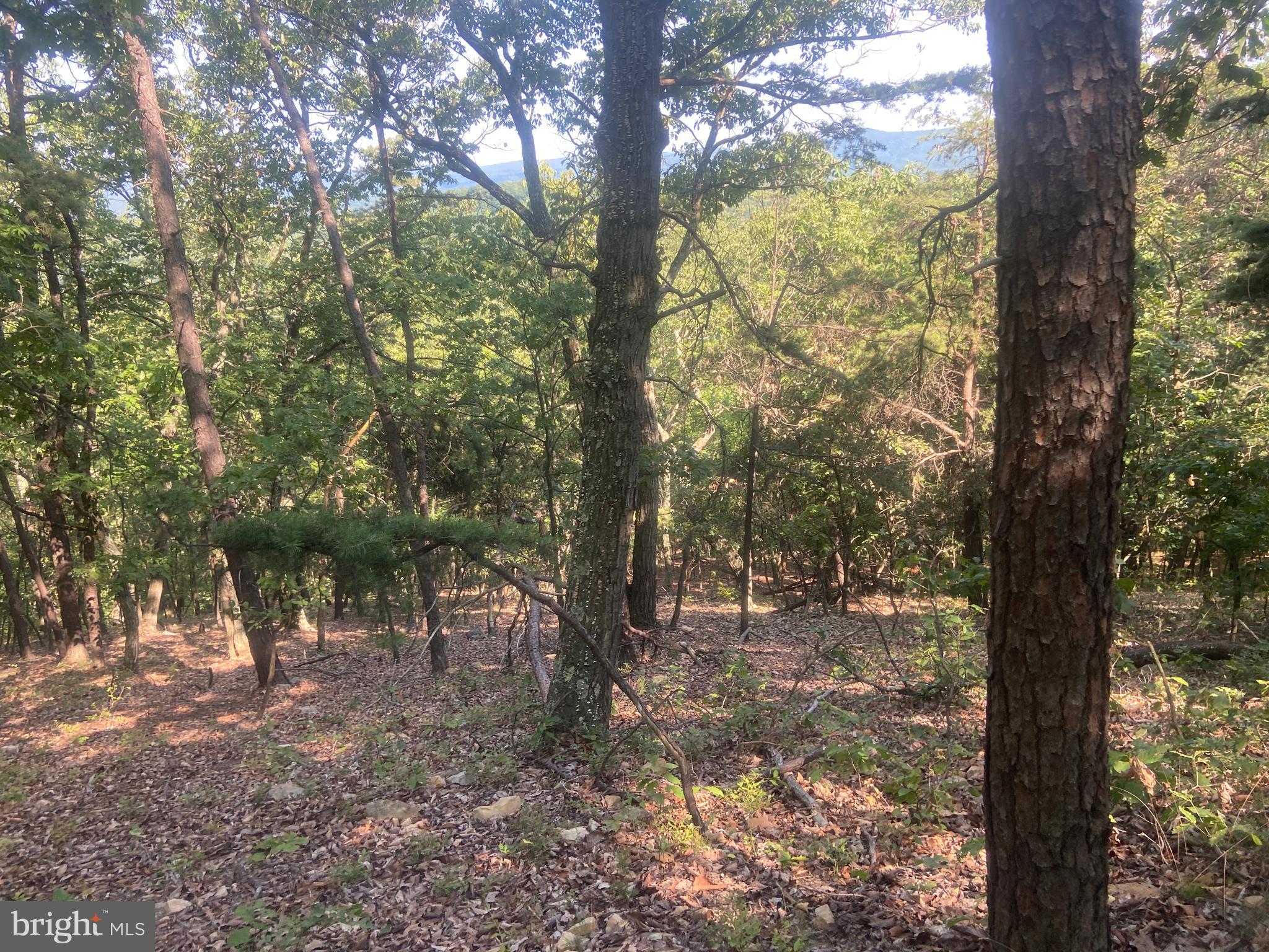 BOWMANS - Residential