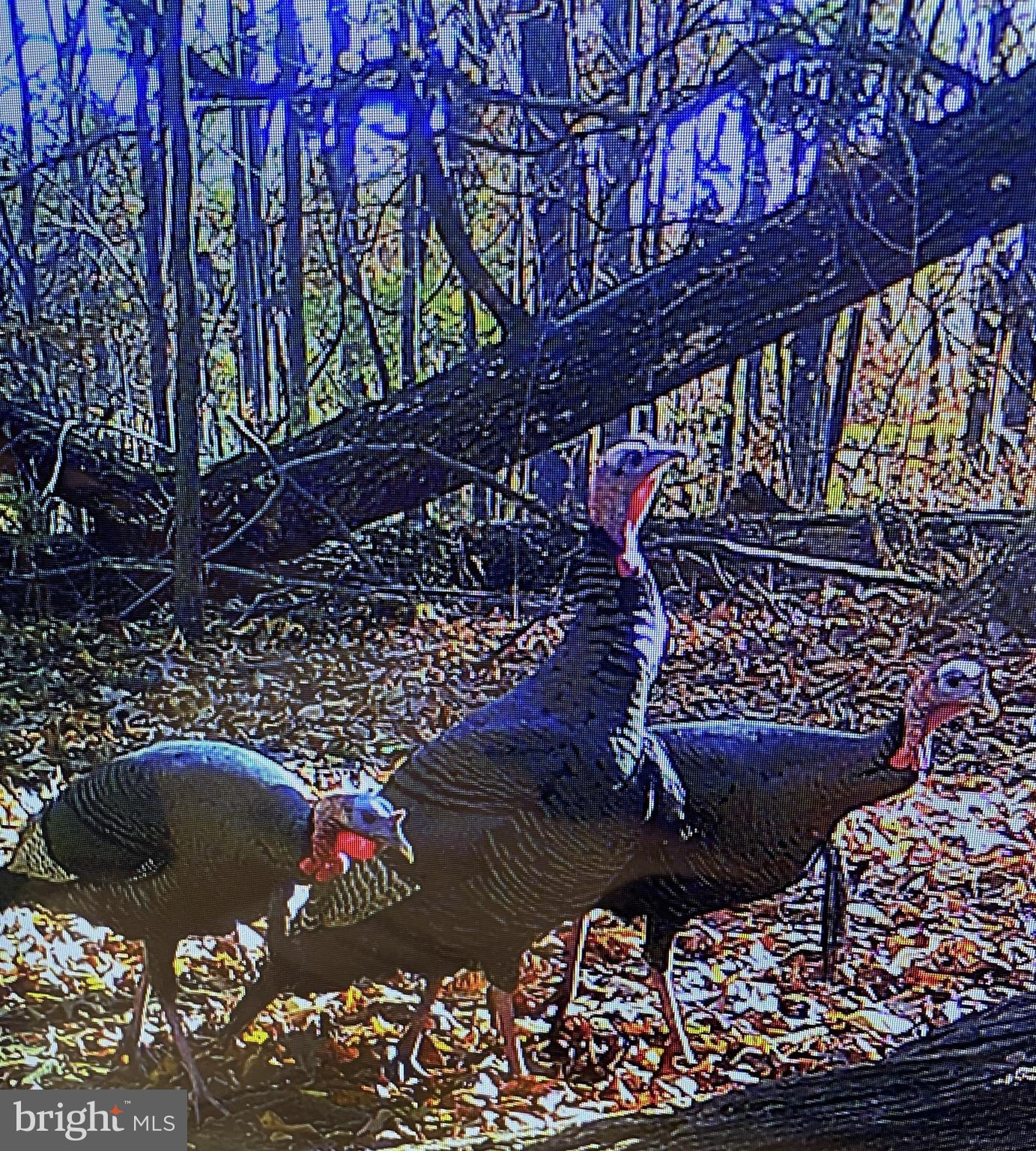 BOWMANS - Residential