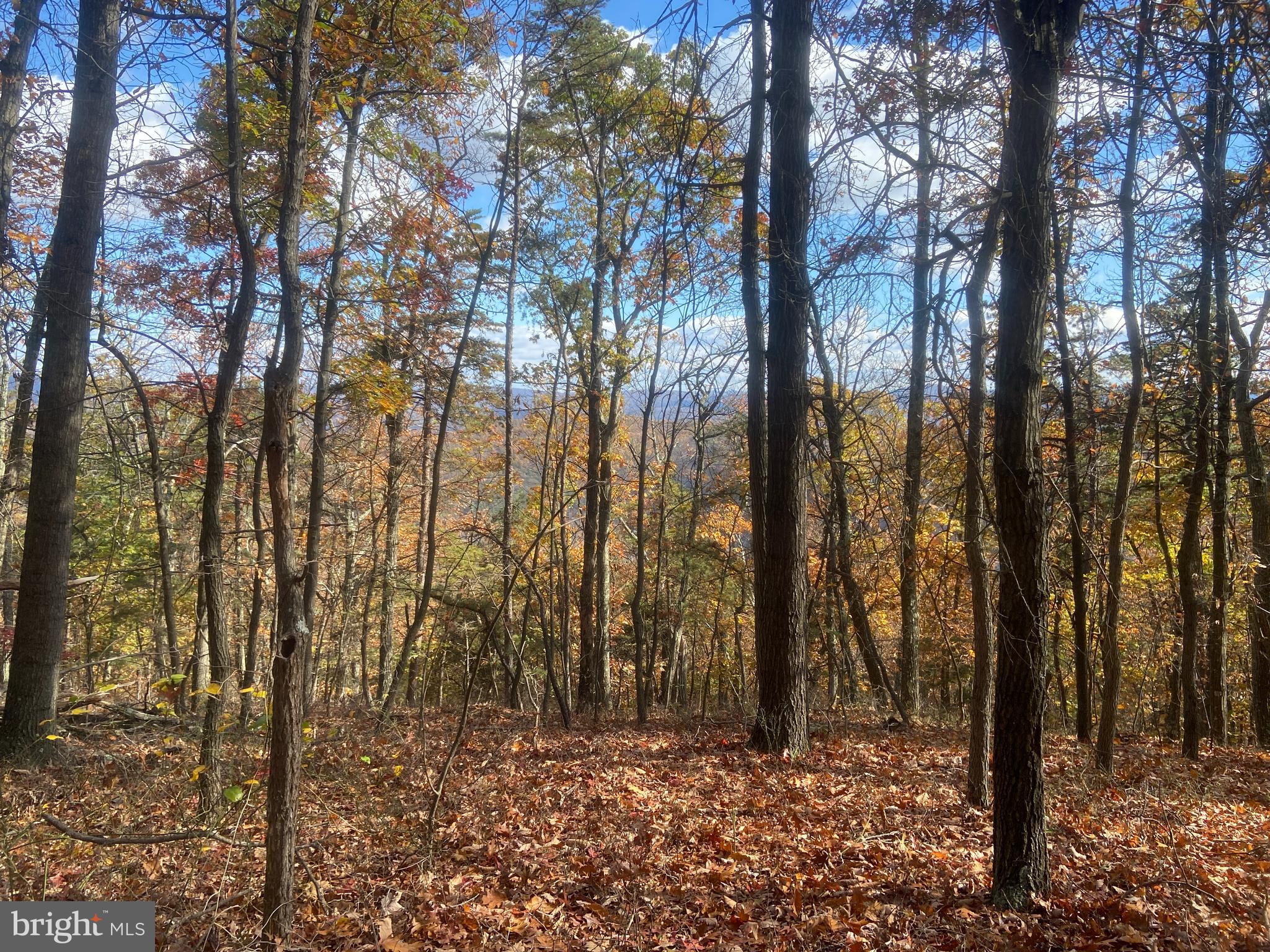 BOWMANS - Residential