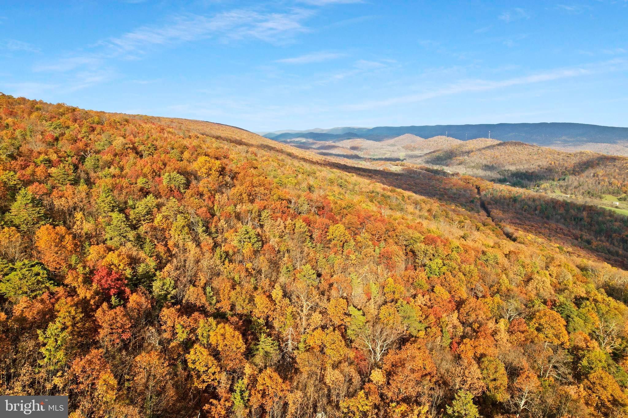 BOWMANS - Residential