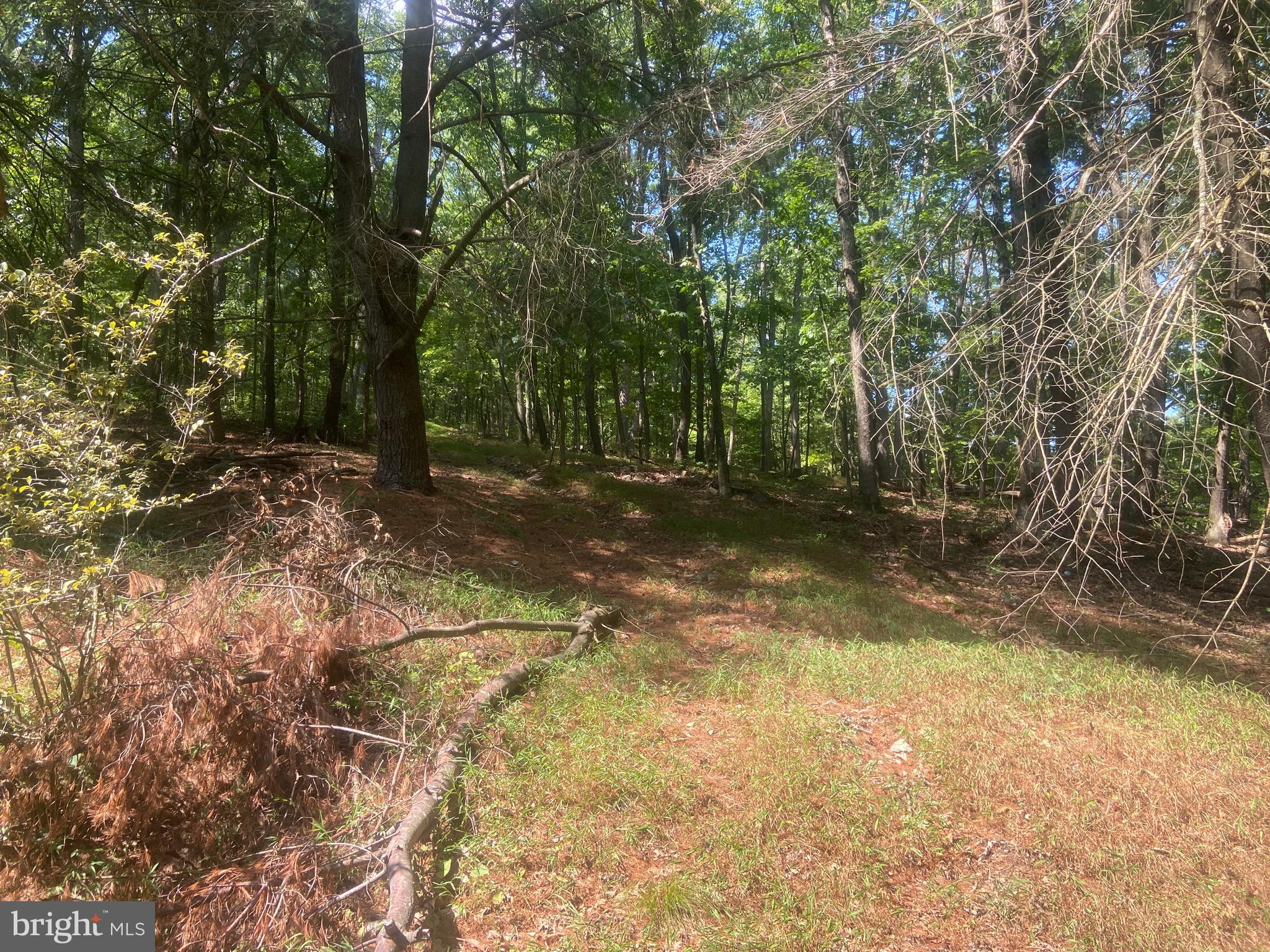 BOWMANS - Residential