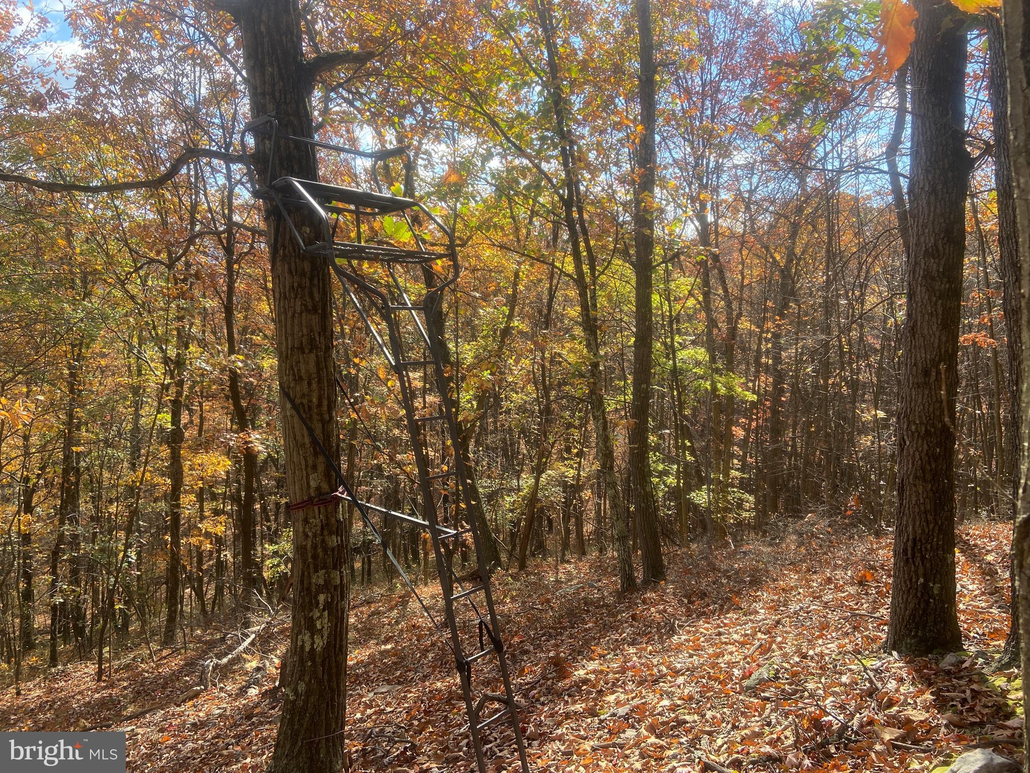 BOWMANS - Residential