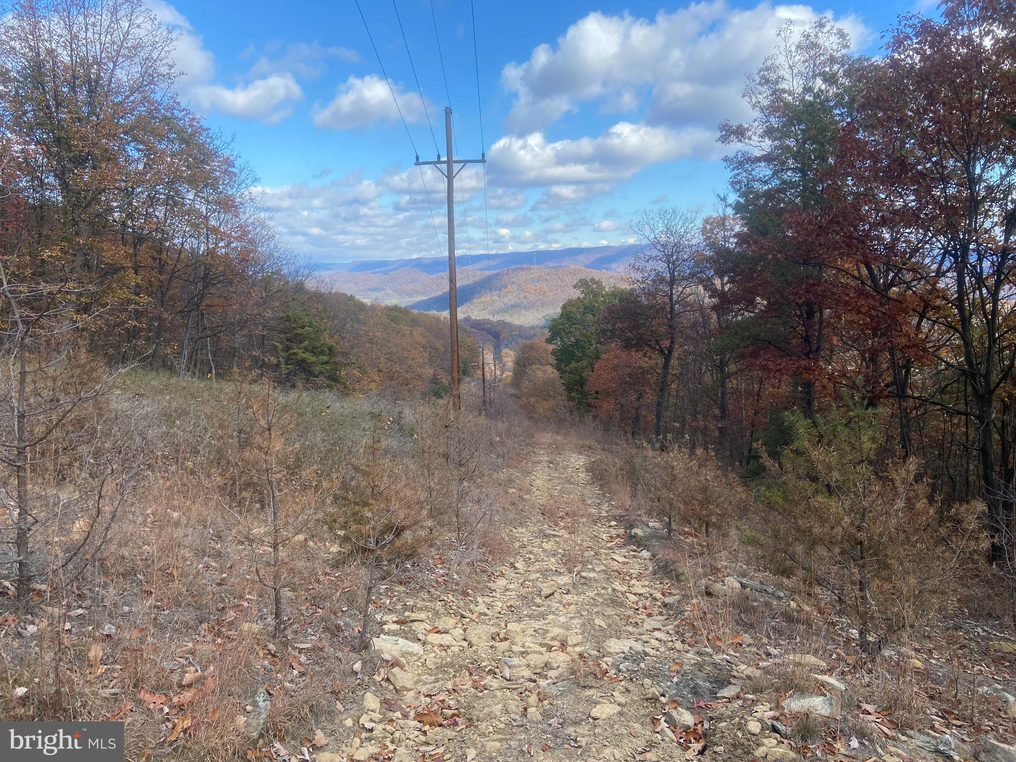 BOWMANS - Residential