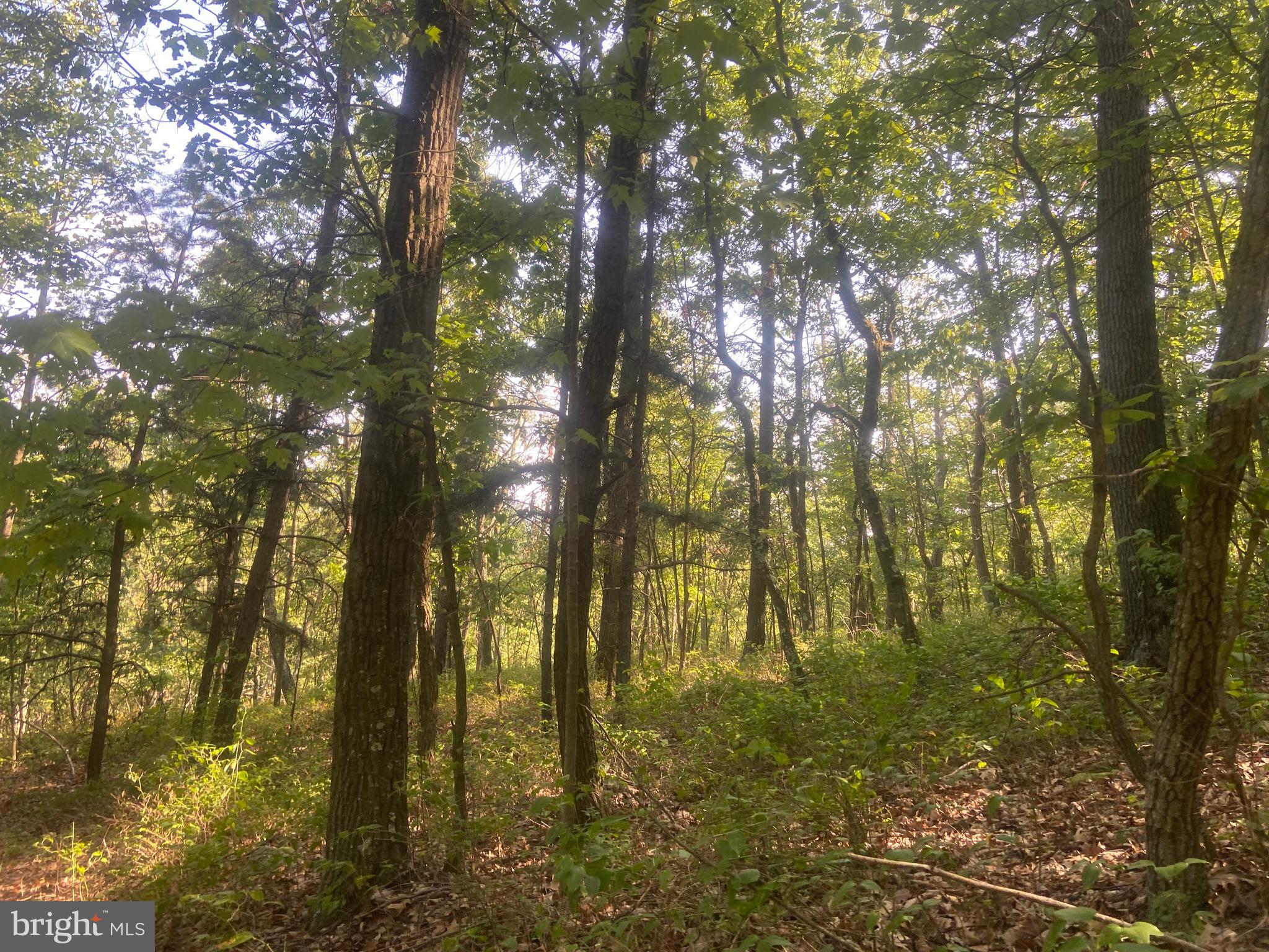 BOWMANS - Residential