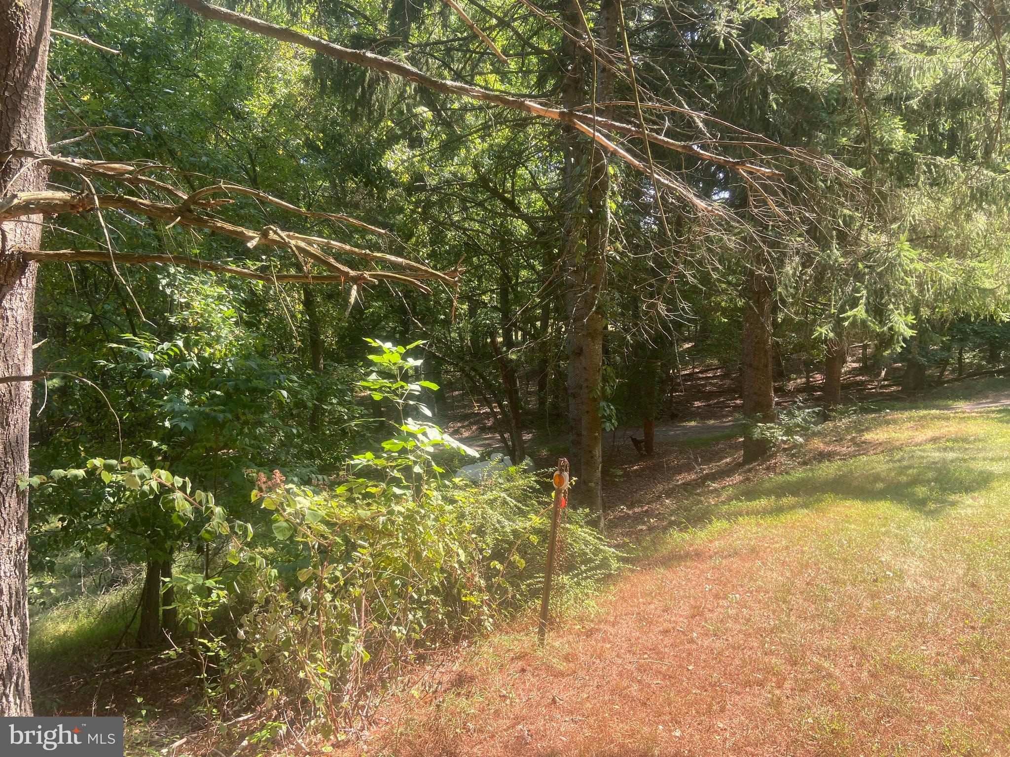 BOWMANS - Residential