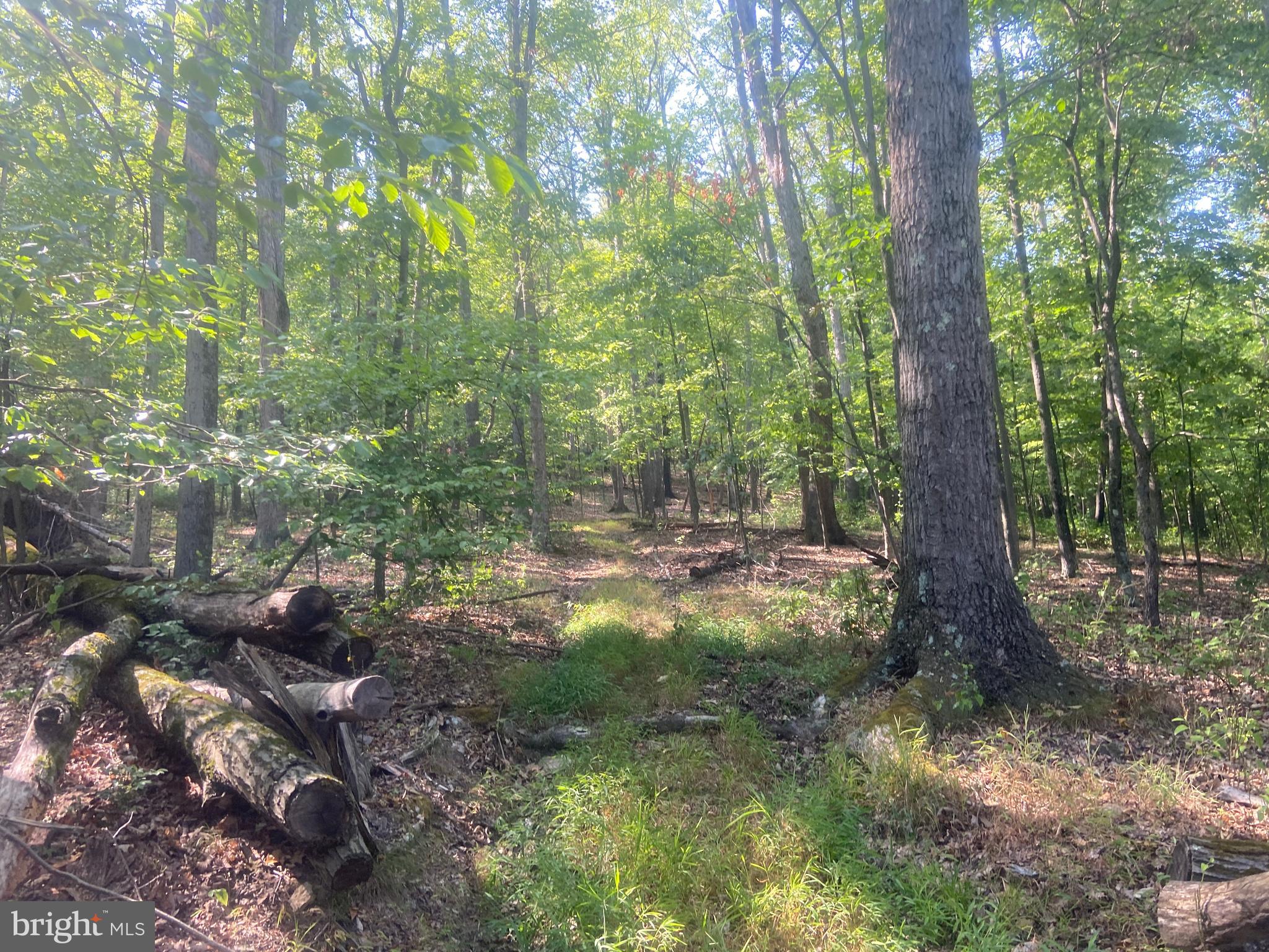 BOWMANS - Residential