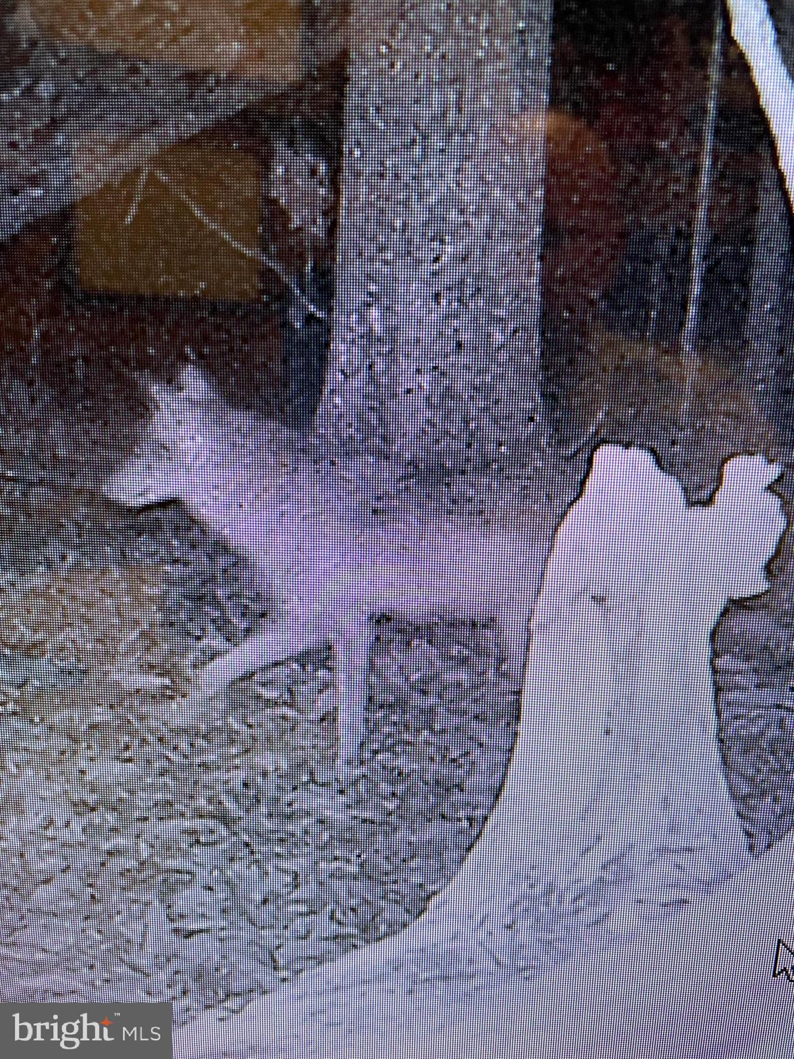 BOWMANS - Residential