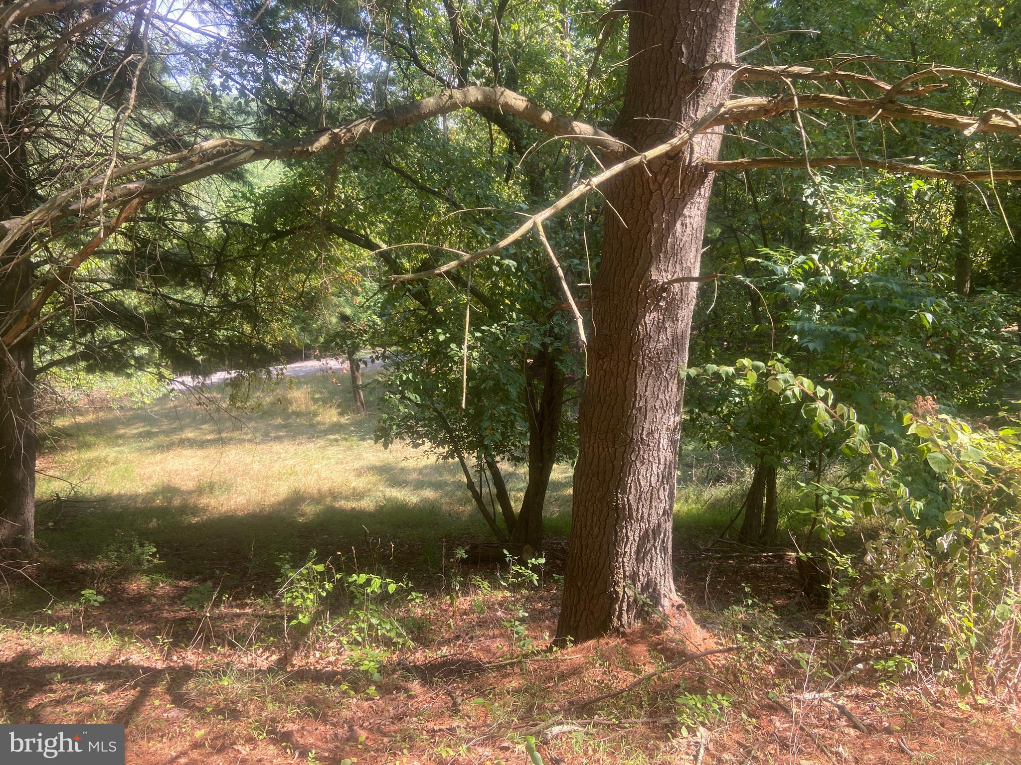 BOWMANS - Residential