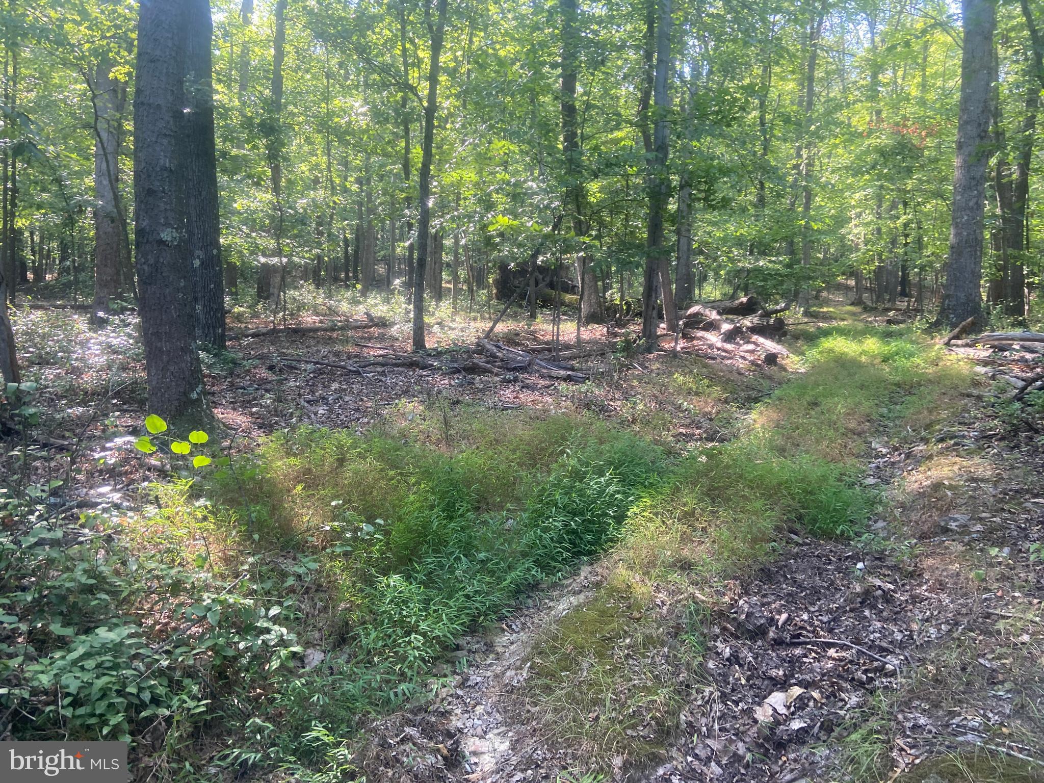 BOWMANS - Residential