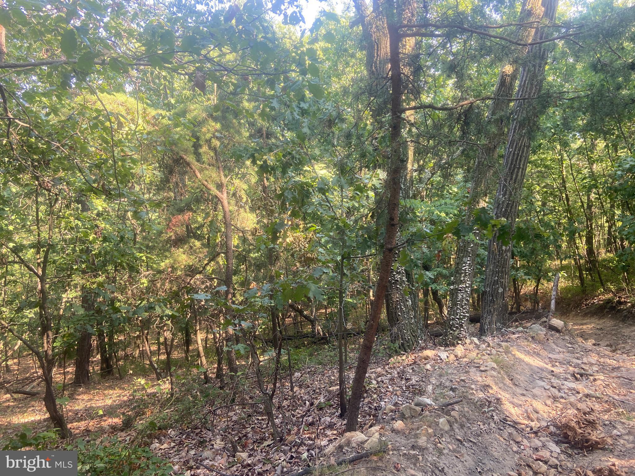 BOWMANS - Residential