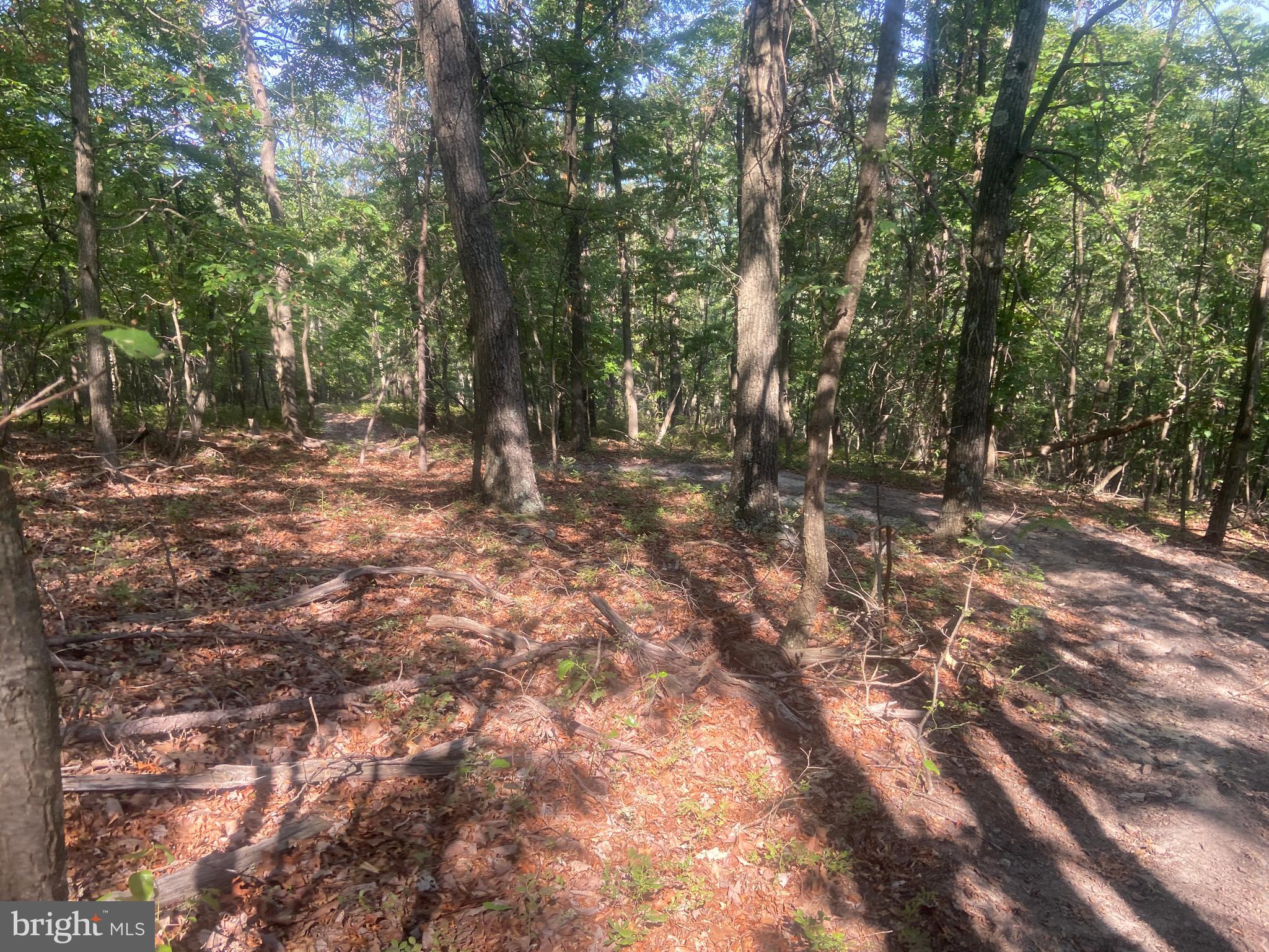 BOWMANS - Residential