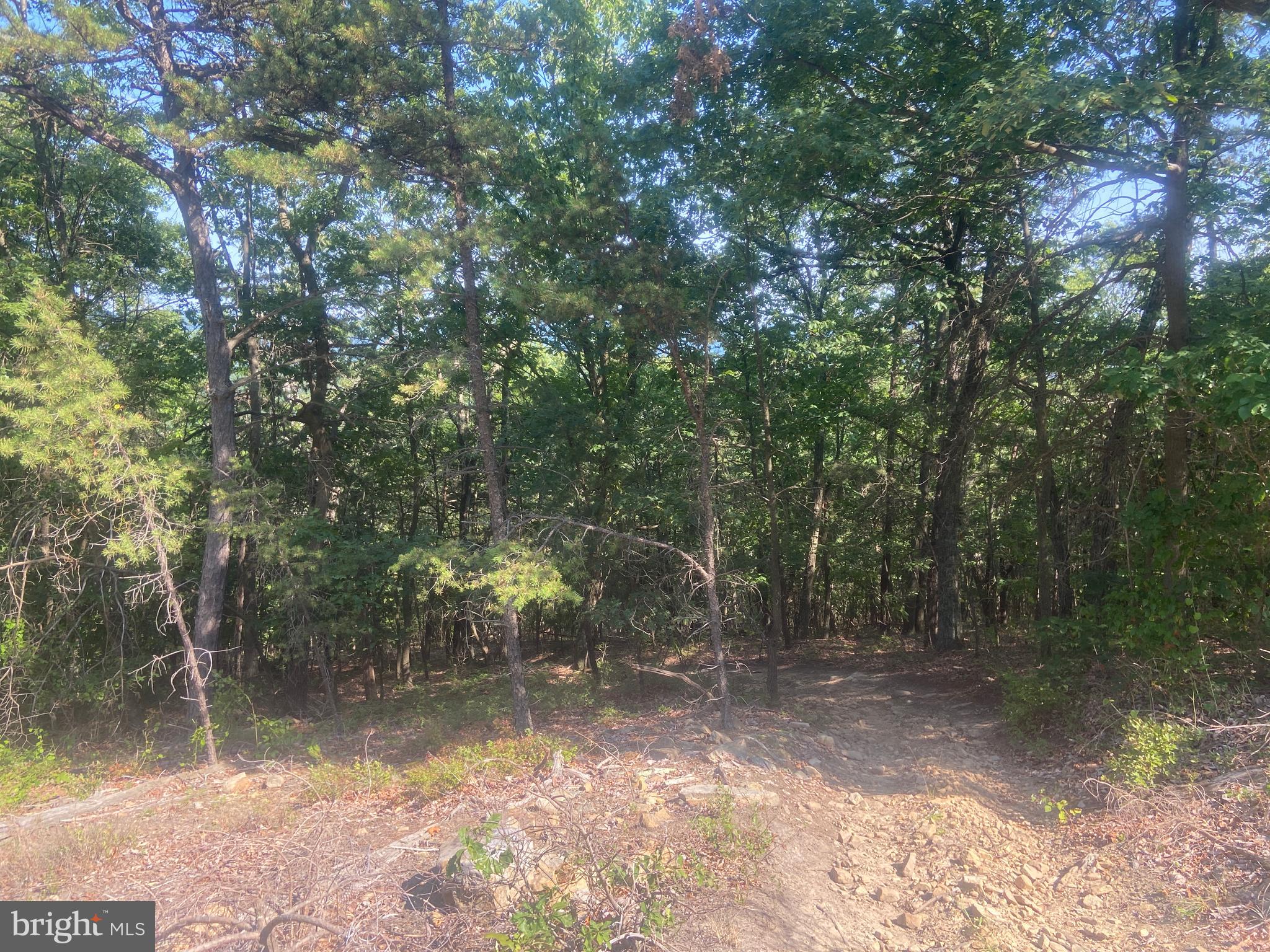 BOWMANS - Residential