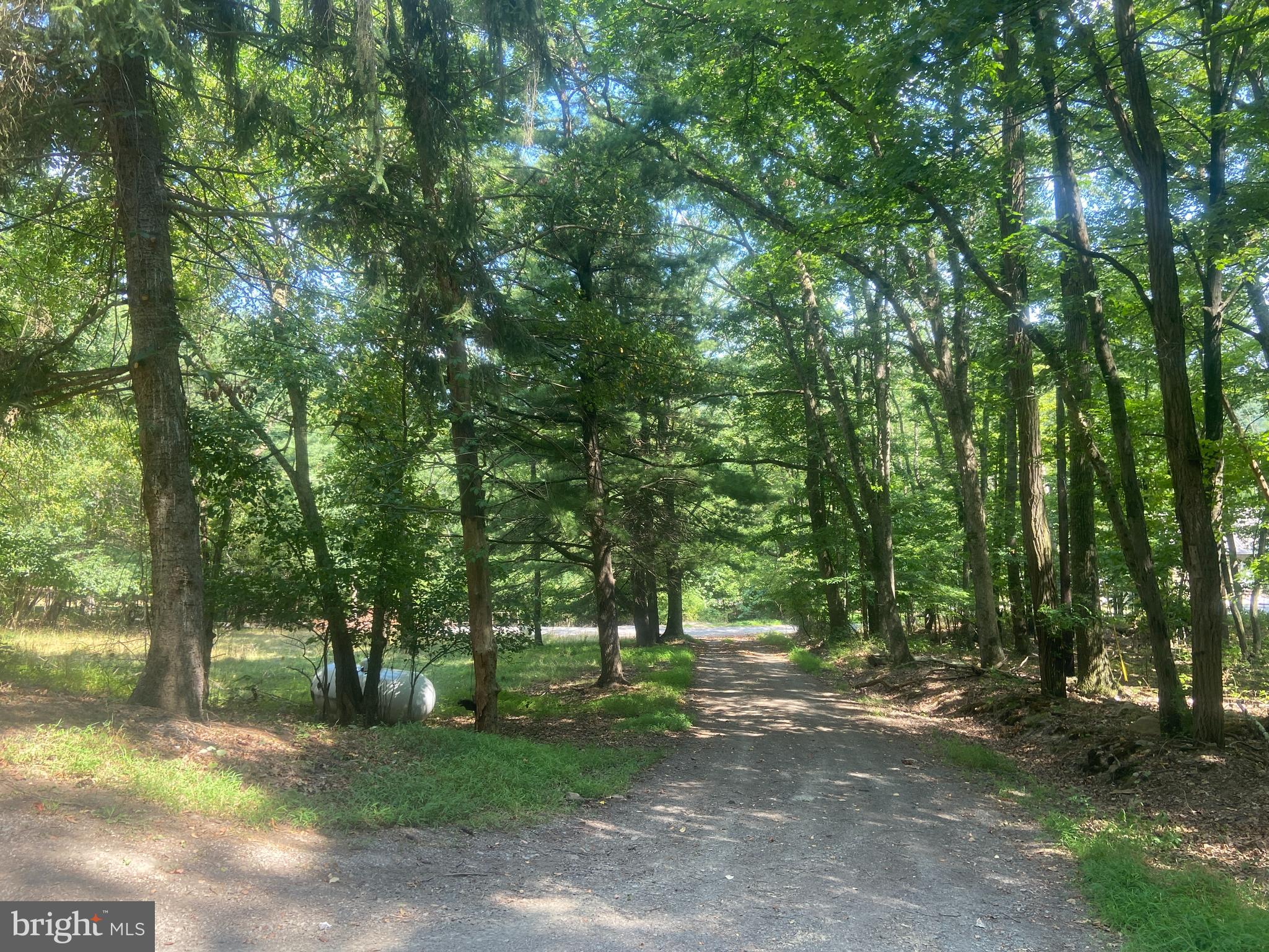 BOWMANS - Residential