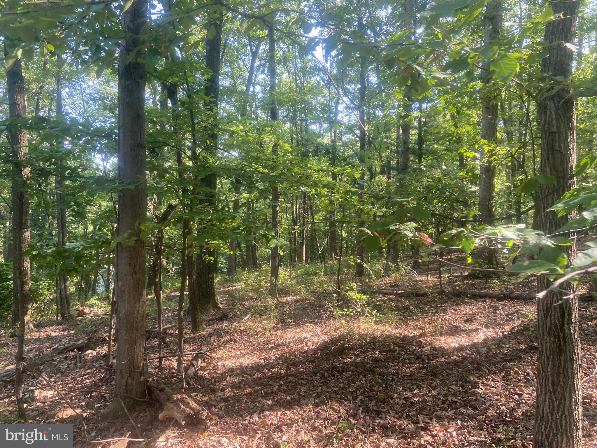 BOWMANS - Residential