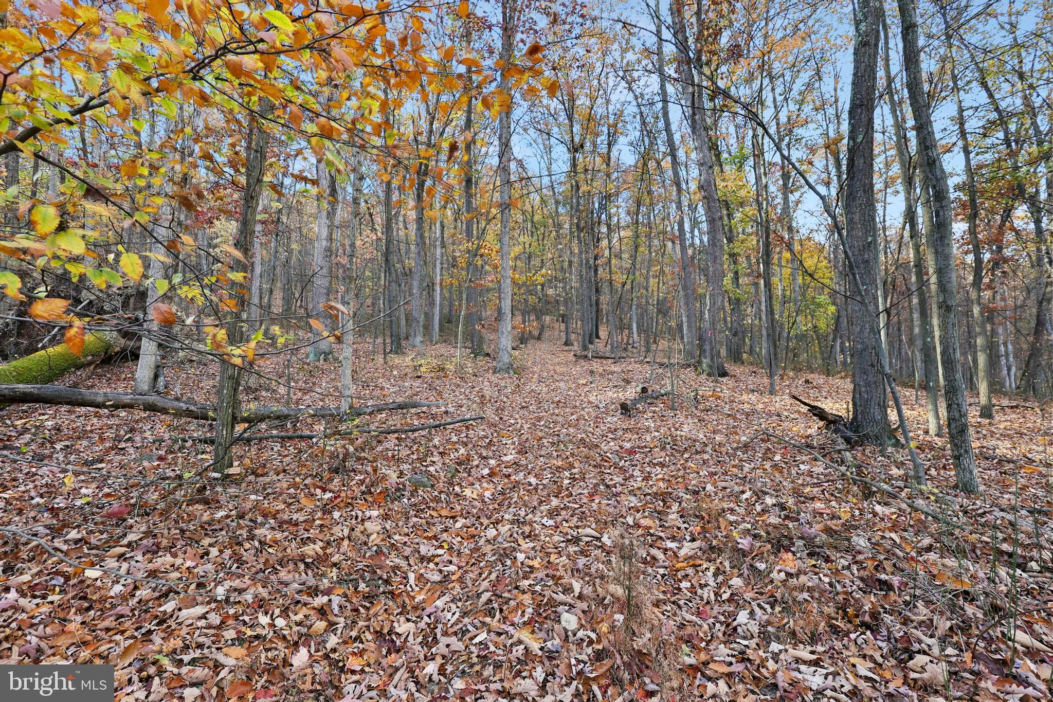 BOWMANS - Residential