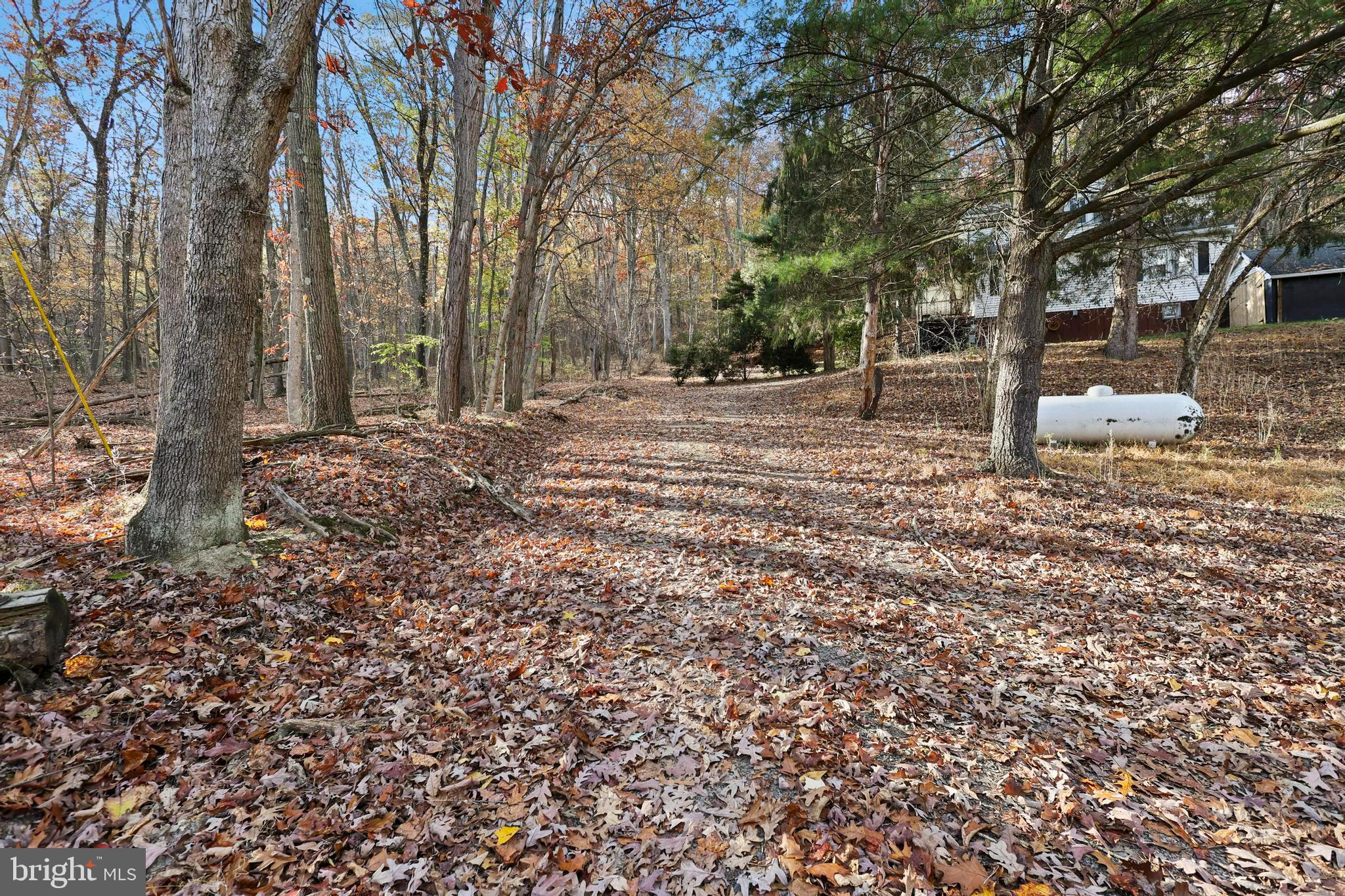 BOWMANS - Residential