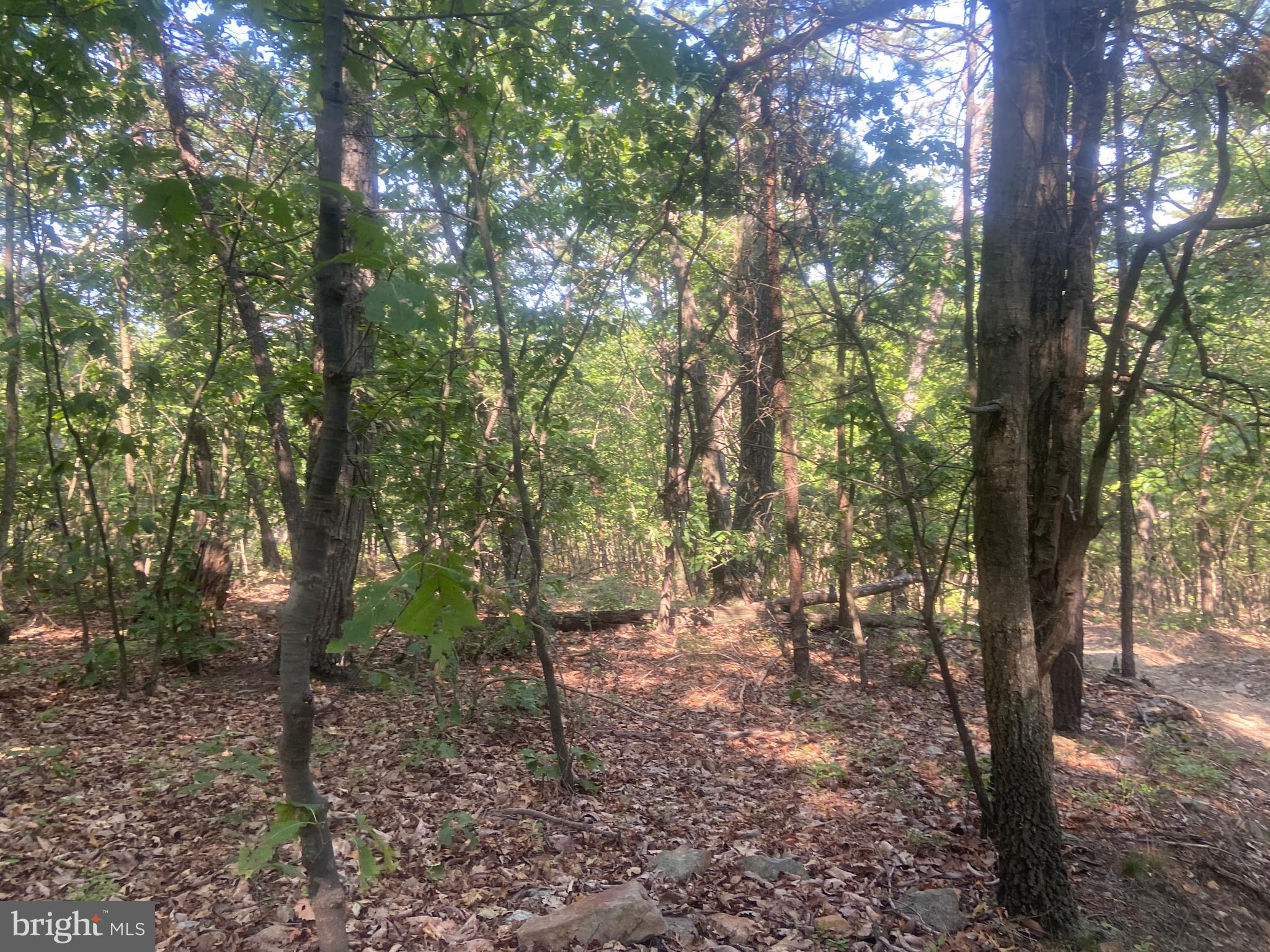 BOWMANS - Residential