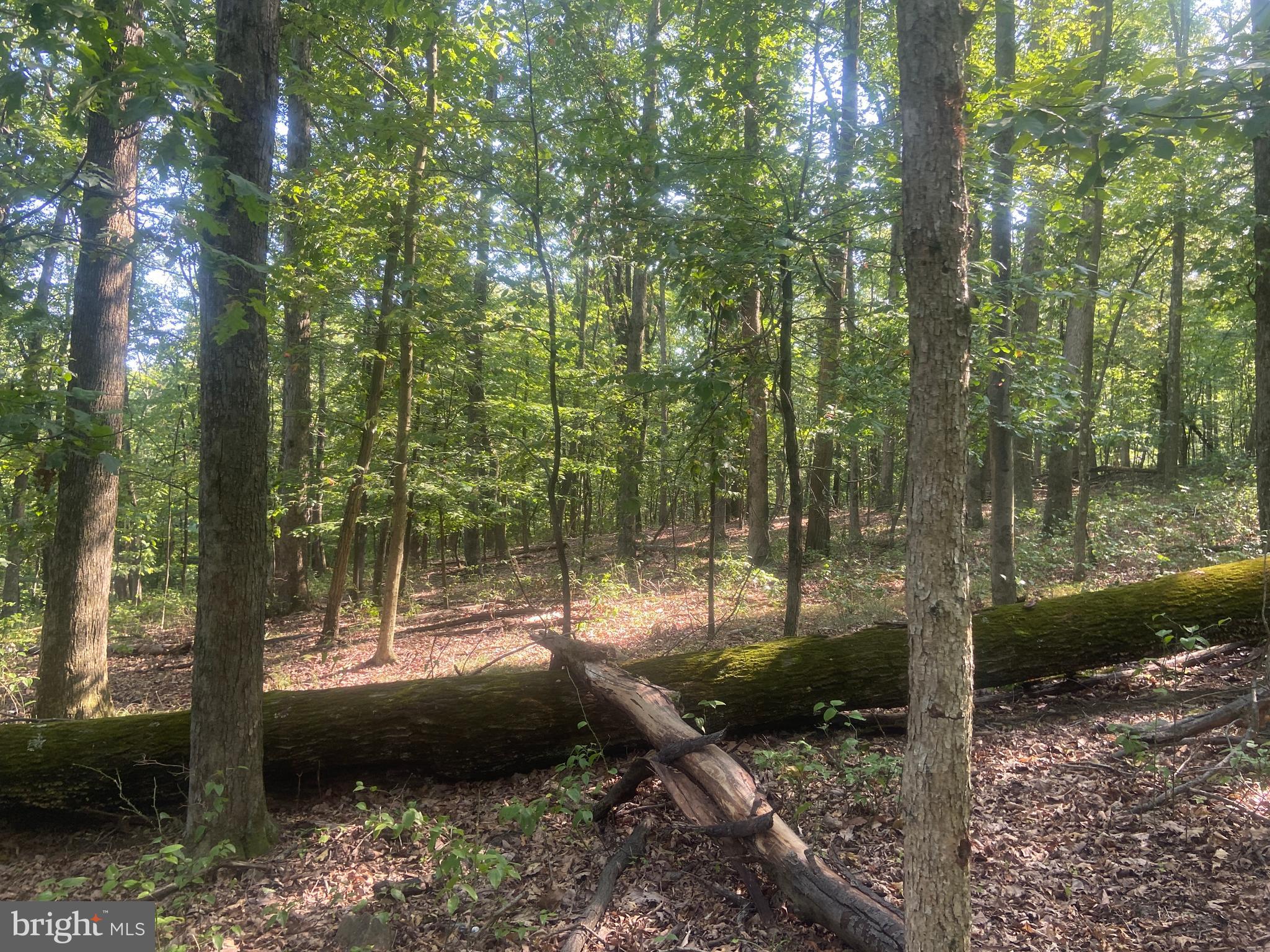 BOWMANS - Residential