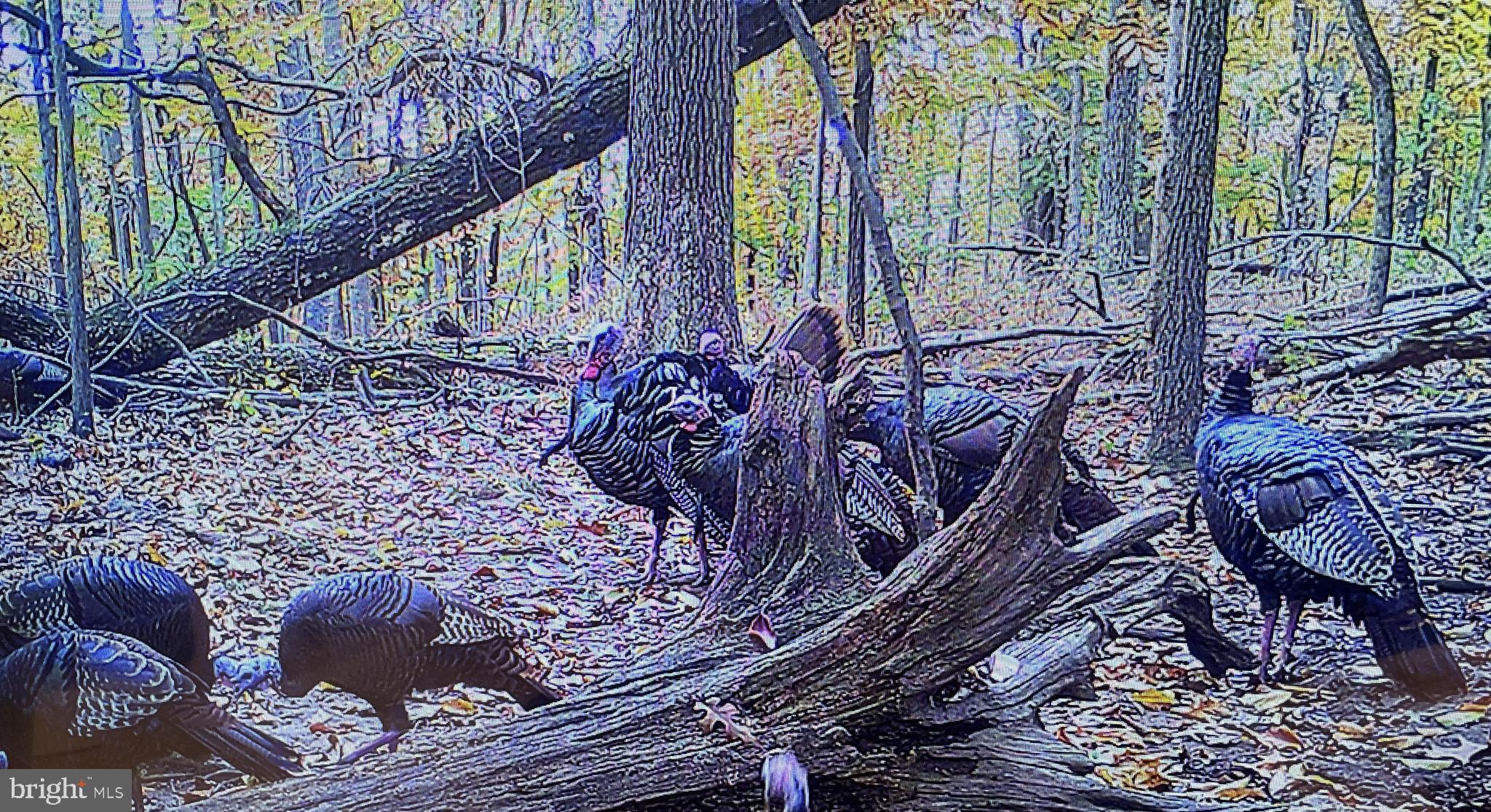 BOWMANS - Residential