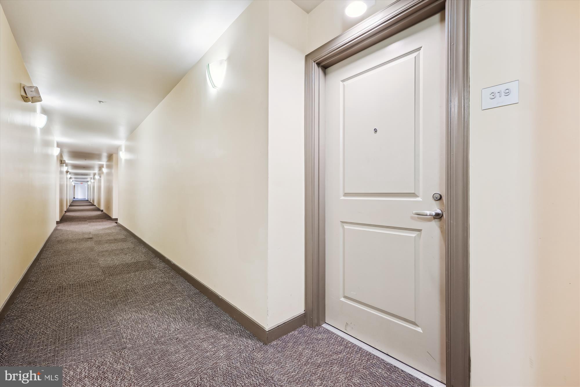 8045 NEWELL STREET 319