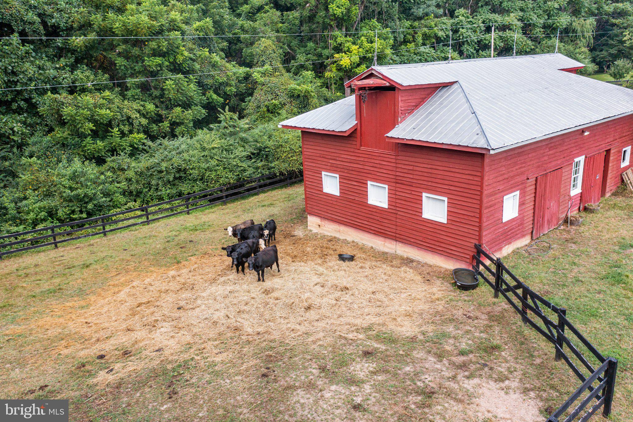 NONE AVAILABLE - Farm