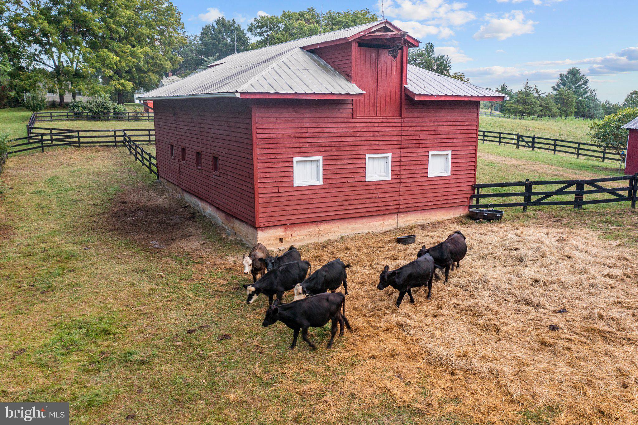 NONE AVAILABLE - Farm