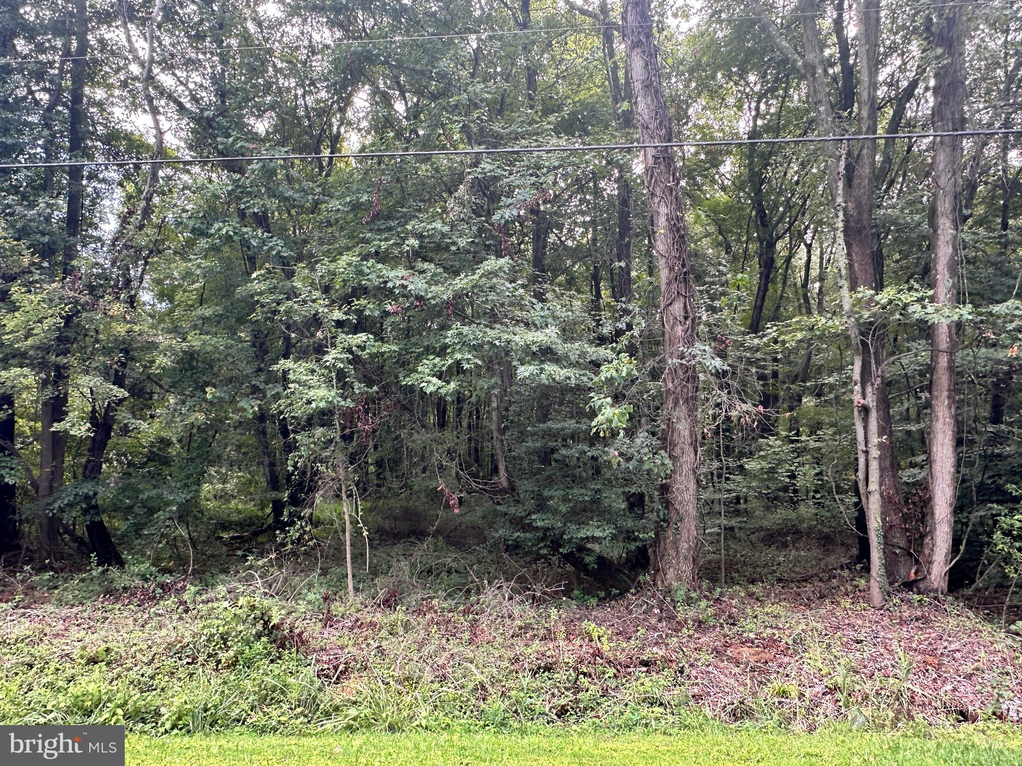 BUCK NECK LANDING ROAD