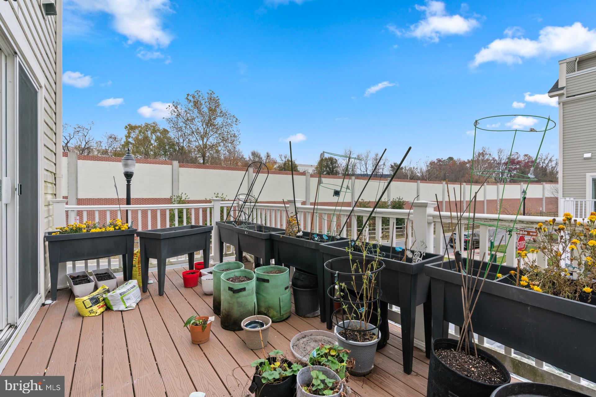 OXFORD SQUARE - Residential