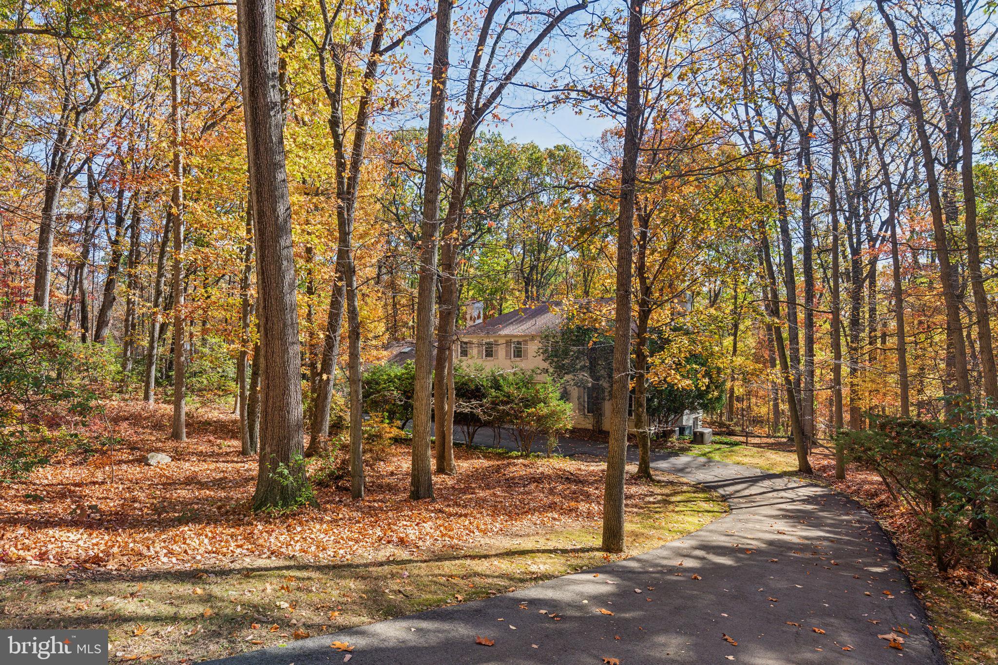 VALLEY FORGE MTN - Residential