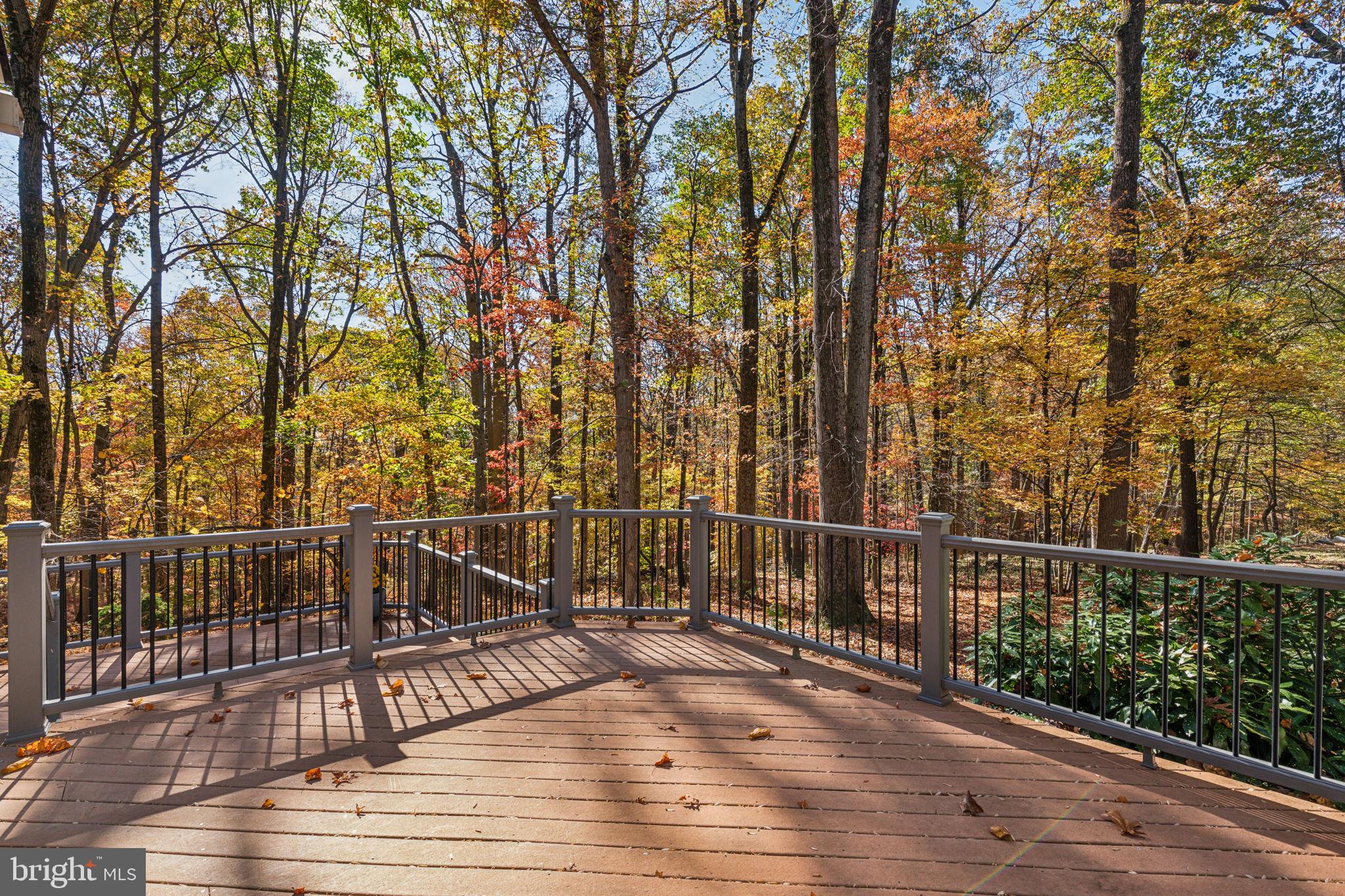 VALLEY FORGE MTN - Residential