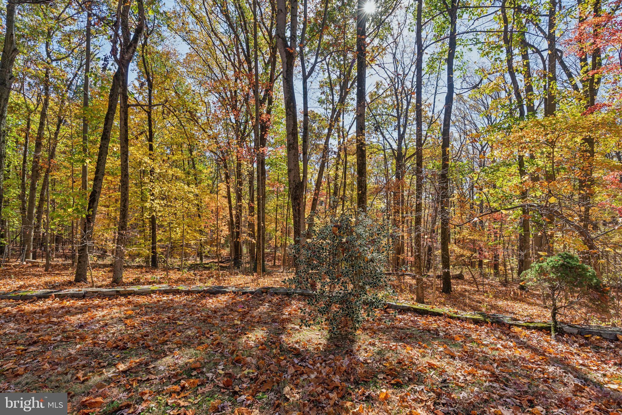 VALLEY FORGE MTN - Residential