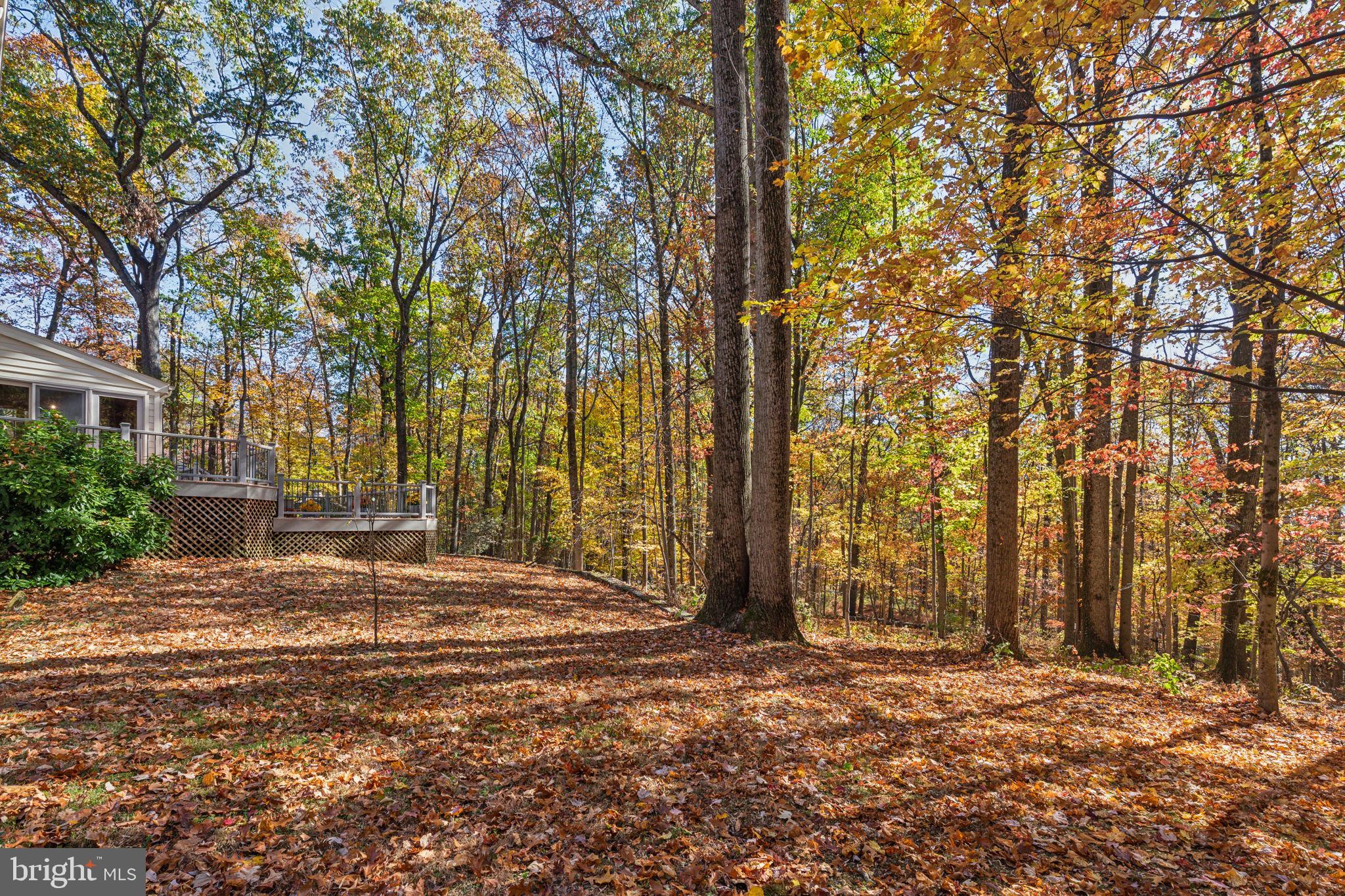 VALLEY FORGE MTN - Residential