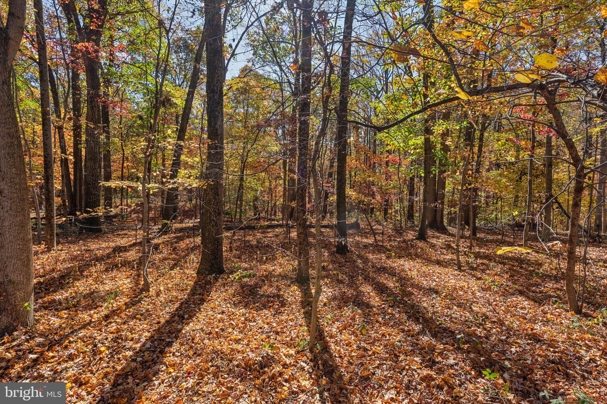 VALLEY FORGE MTN - Residential