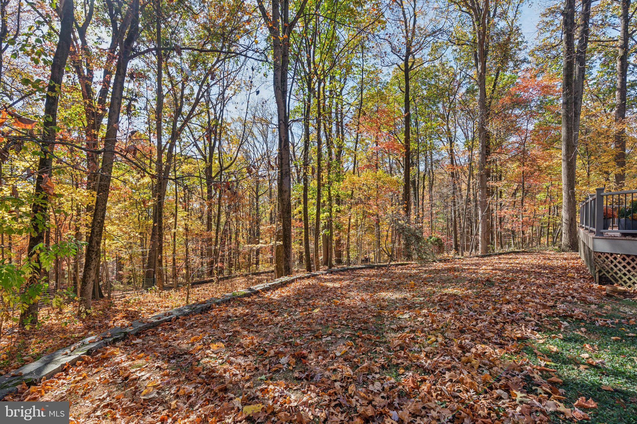 VALLEY FORGE MTN - Residential