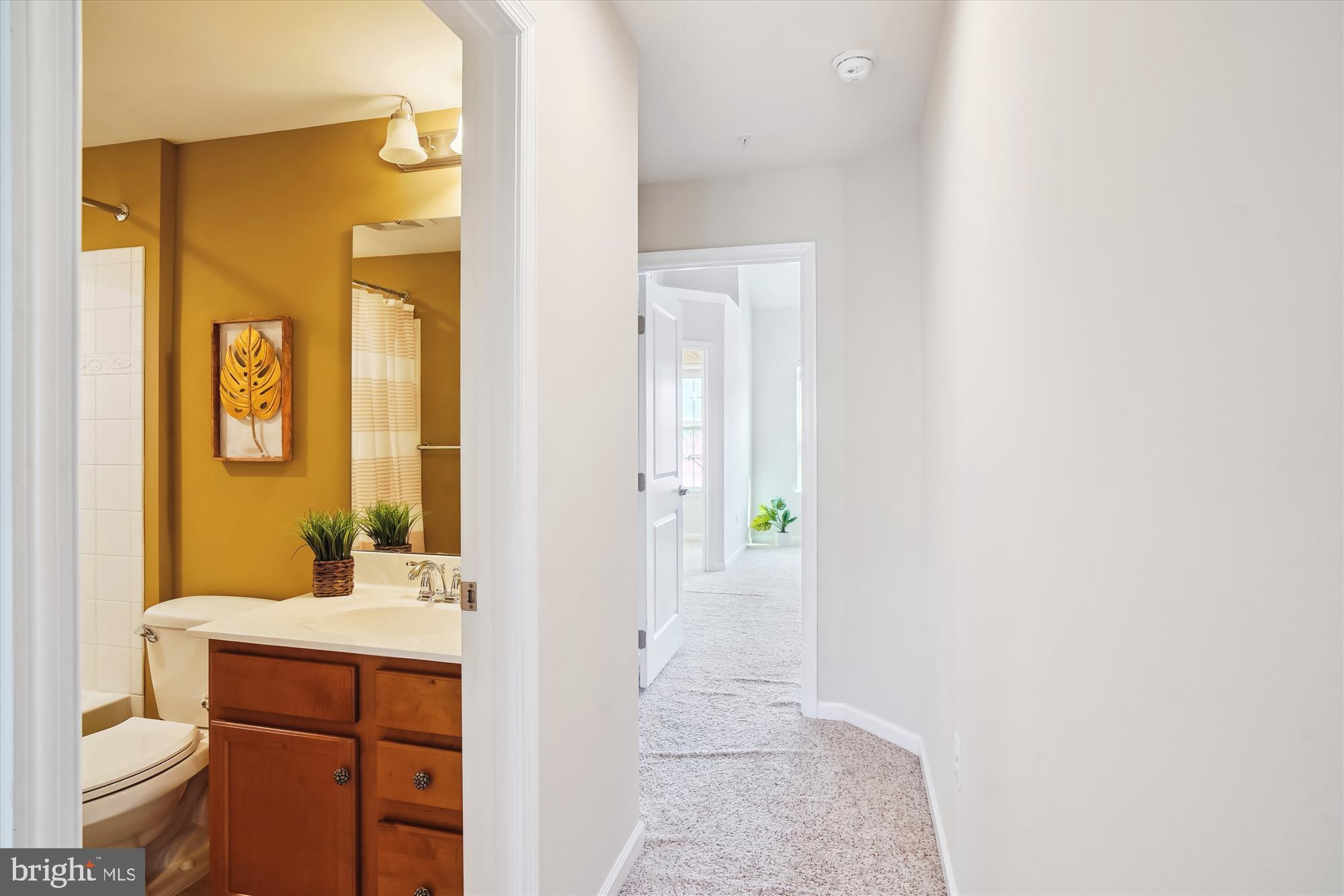 RAINCLIFFE CENTER - Residential