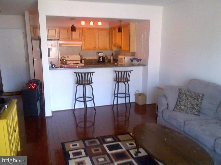 Shows very well! Incredible, trendy building with wonderful amenities. The unit has gleaning hardwoods. Move in Ready! Washer / dryer in unit, One assigned parking space and managed front desk! Walk to Shirlington and parks, close to DC and I-395