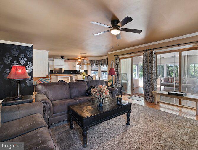 338 CANVASBACK ROAD