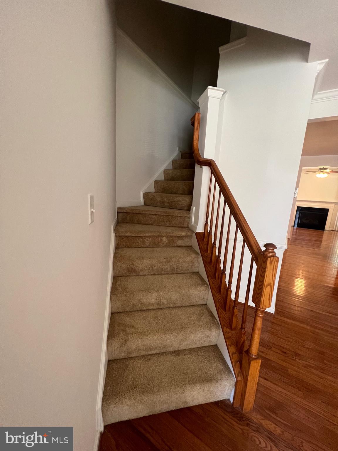 HAVRE DE HILLS - Residential Lease